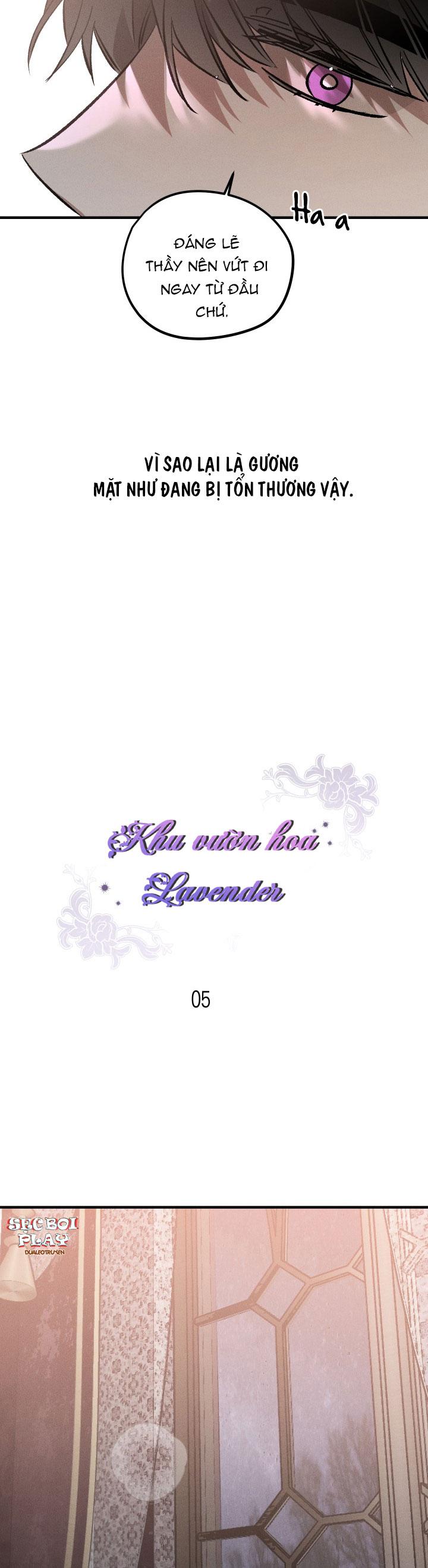 khu vườn hoa lavender Chapter 5 - Next Chapter 6