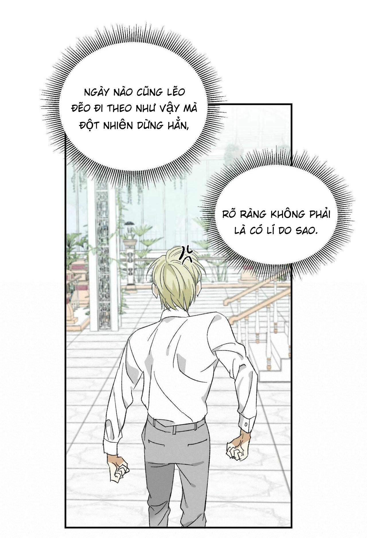 Cấp Trên Chapter 3 - Next Chapter 4