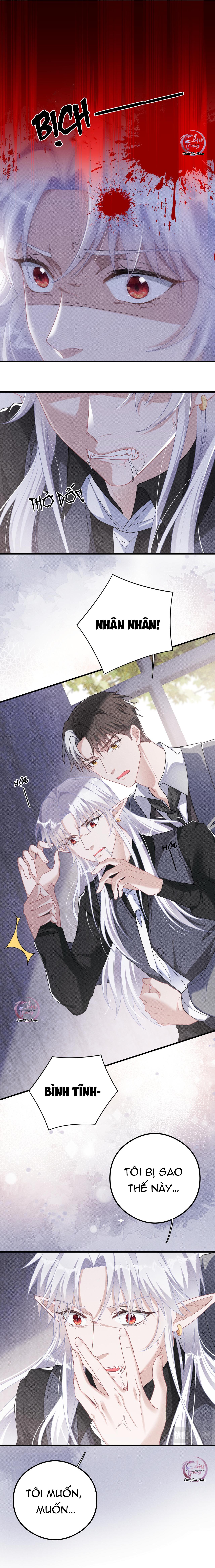 Trói Chặt Sói Của Tôi Chapter 41 - Next Chapter 42