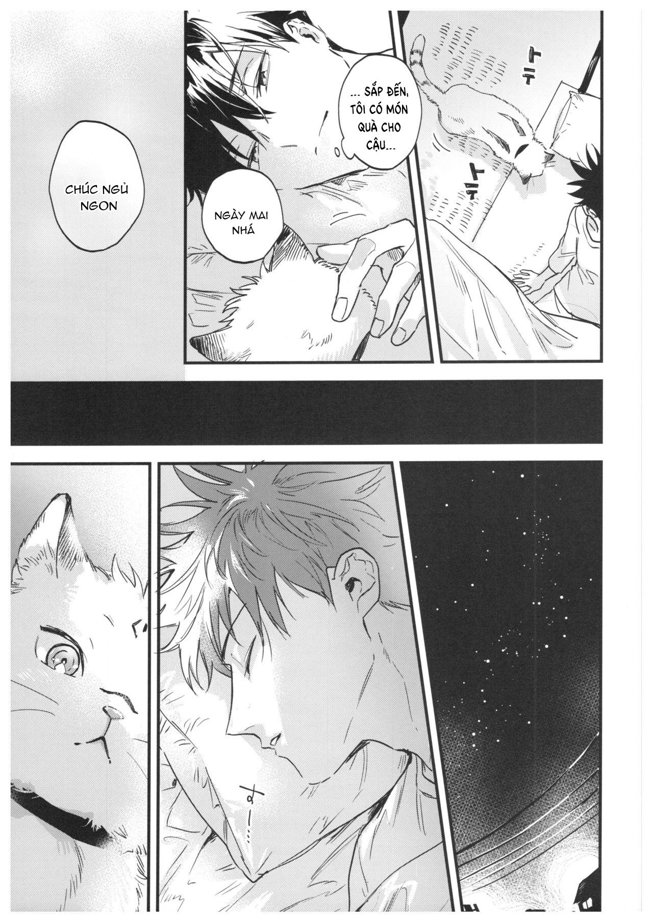 Doujinshi Tổng Hợp Chapter 15.2 Megumi x Sukuna - Next Chapter 16 Gojo x Yuuji