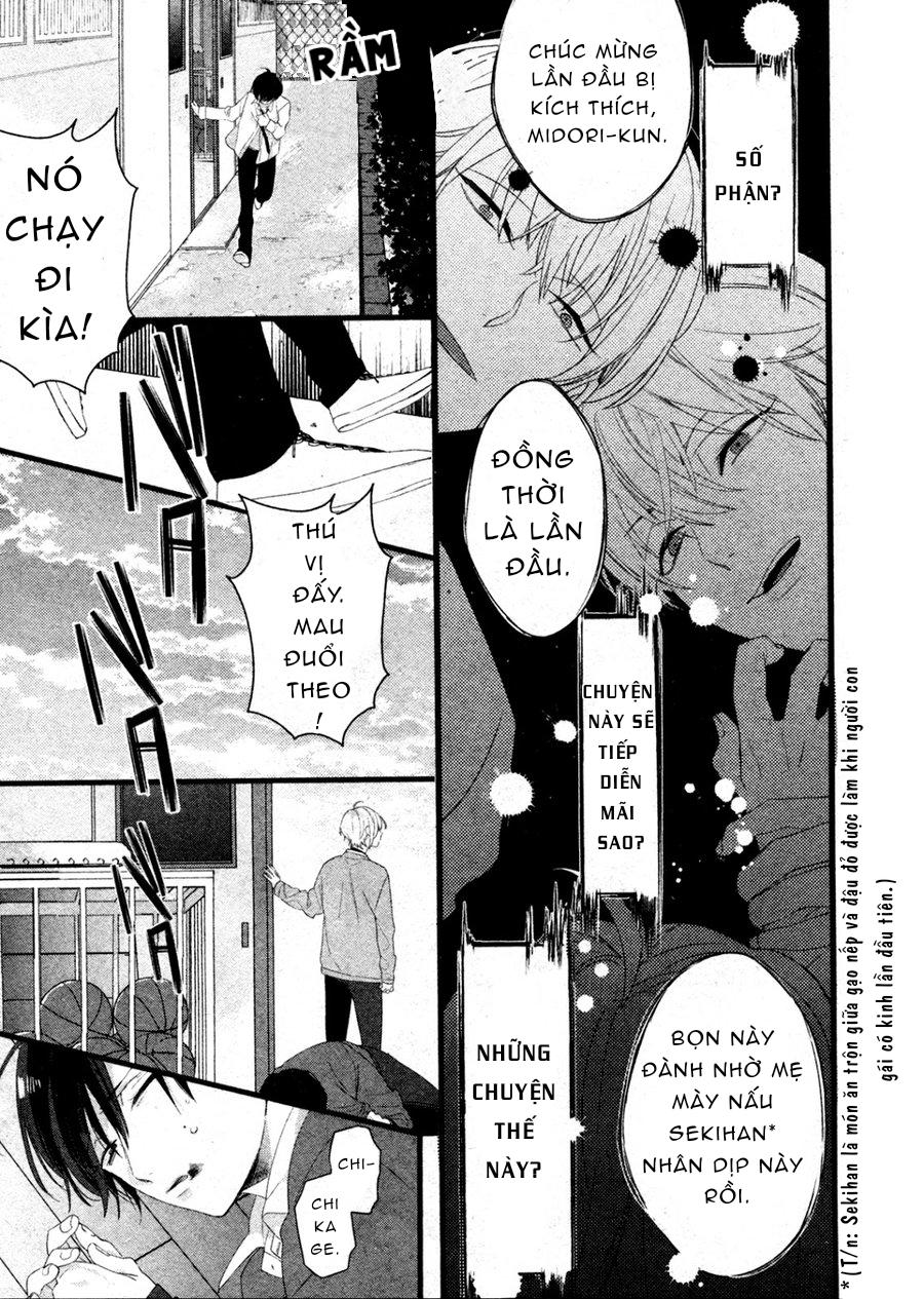 Kiyoku Tadashiku Utsuku Shiku Chapter 4 - Trang 2