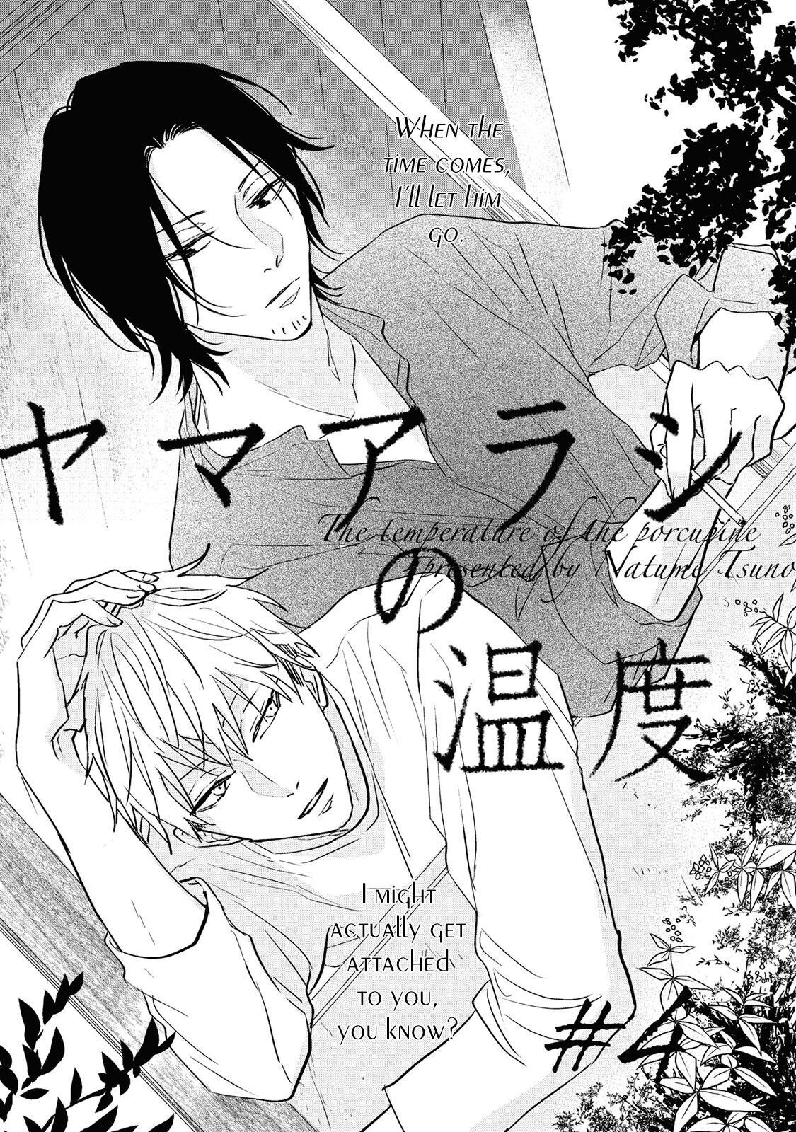 Nhiệt Độ Của Loài Nhím Chapter 4 - Next Chapter 5