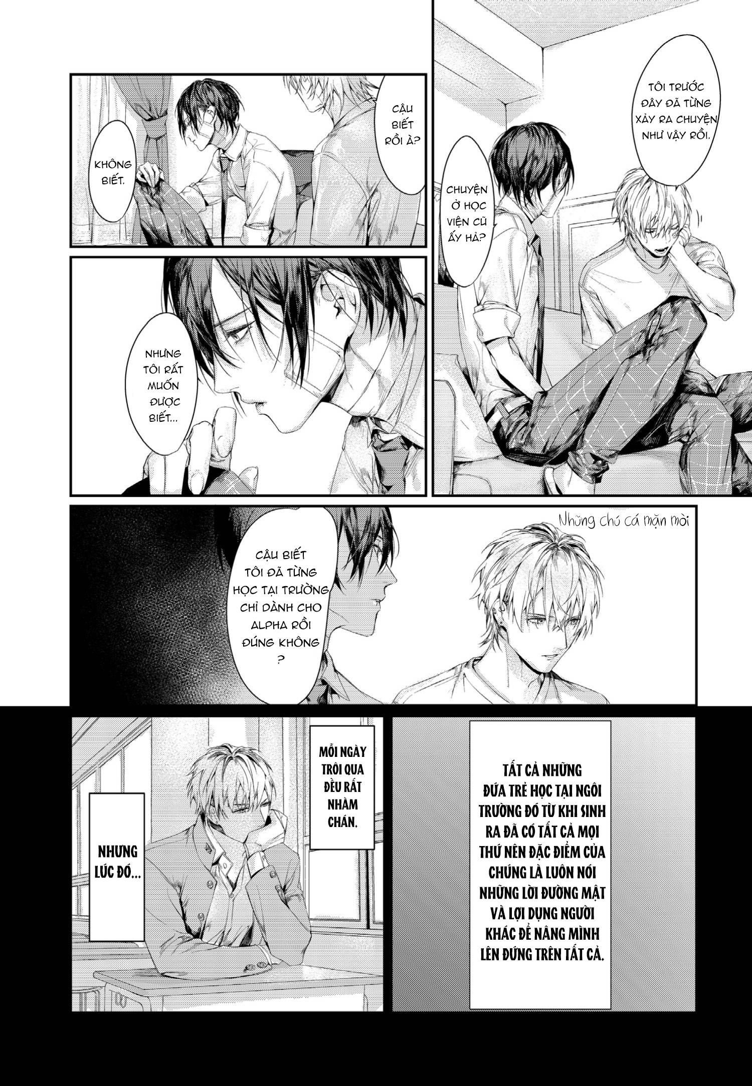 Xin Đừng Buông Tay Em Chapter 3 - Next Chapter 4