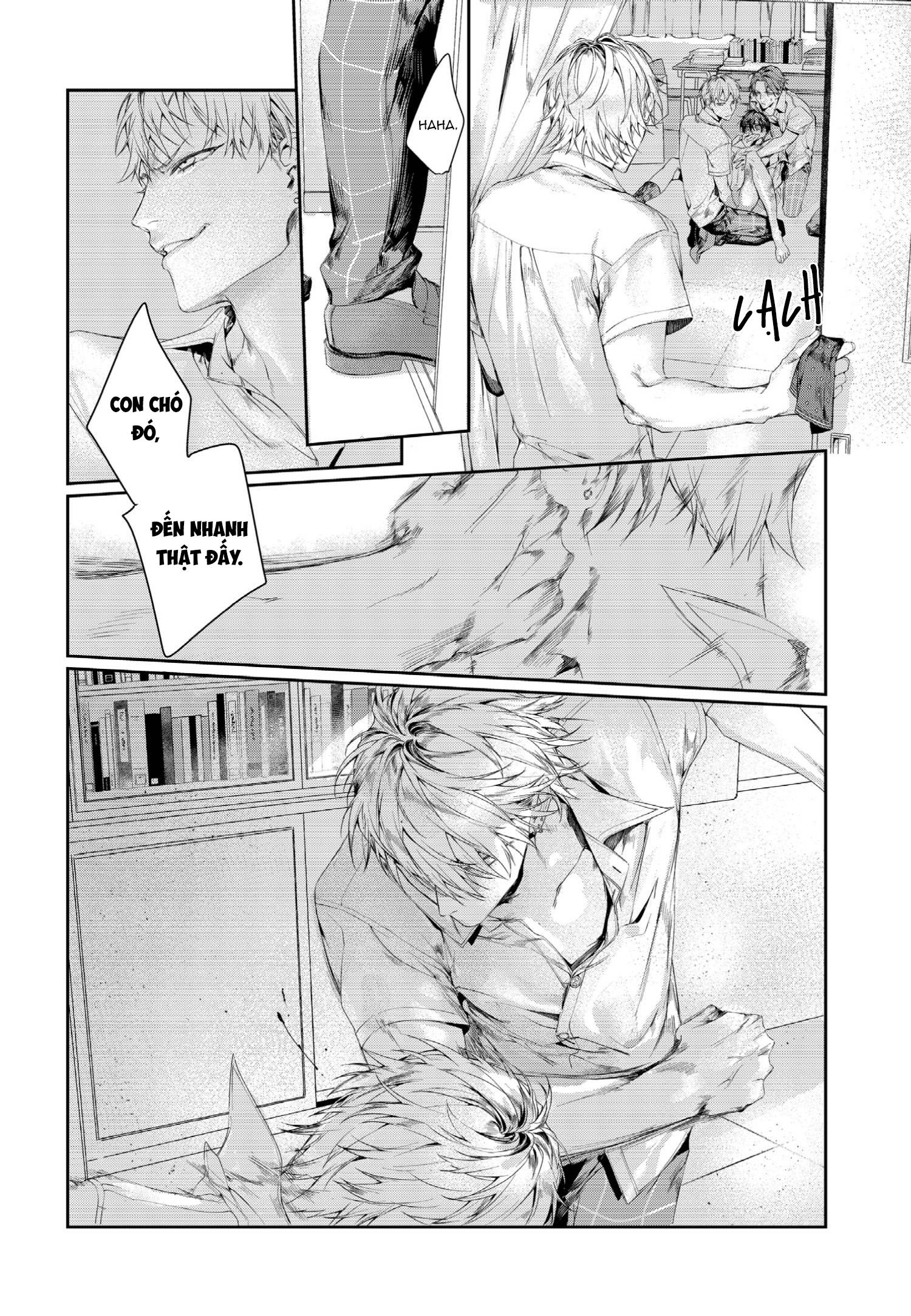 Xin Đừng Buông Tay Em Chapter 3 - Next Chapter 4