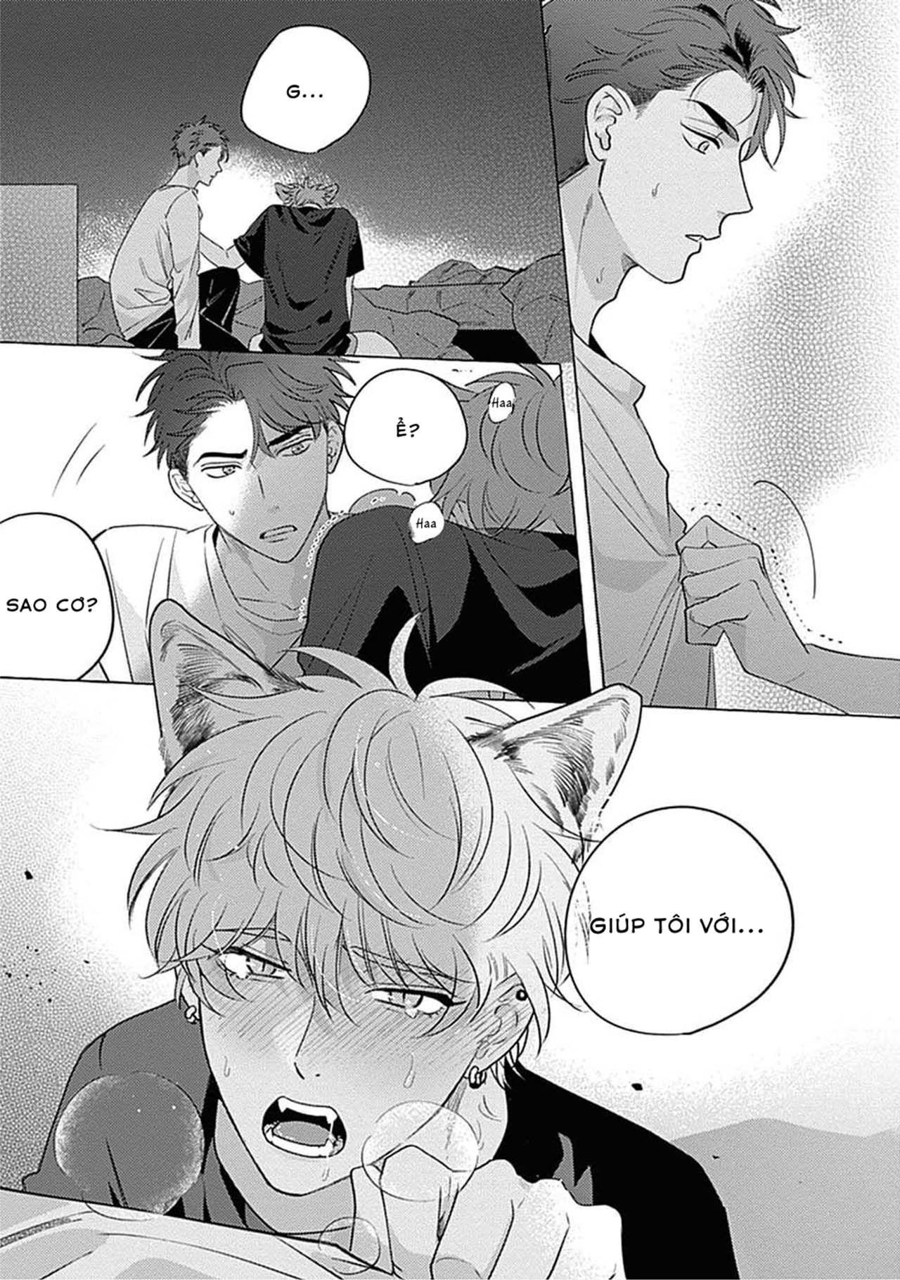 Aimai na Wolf (END) Chapter 1 - Next Chapter 2