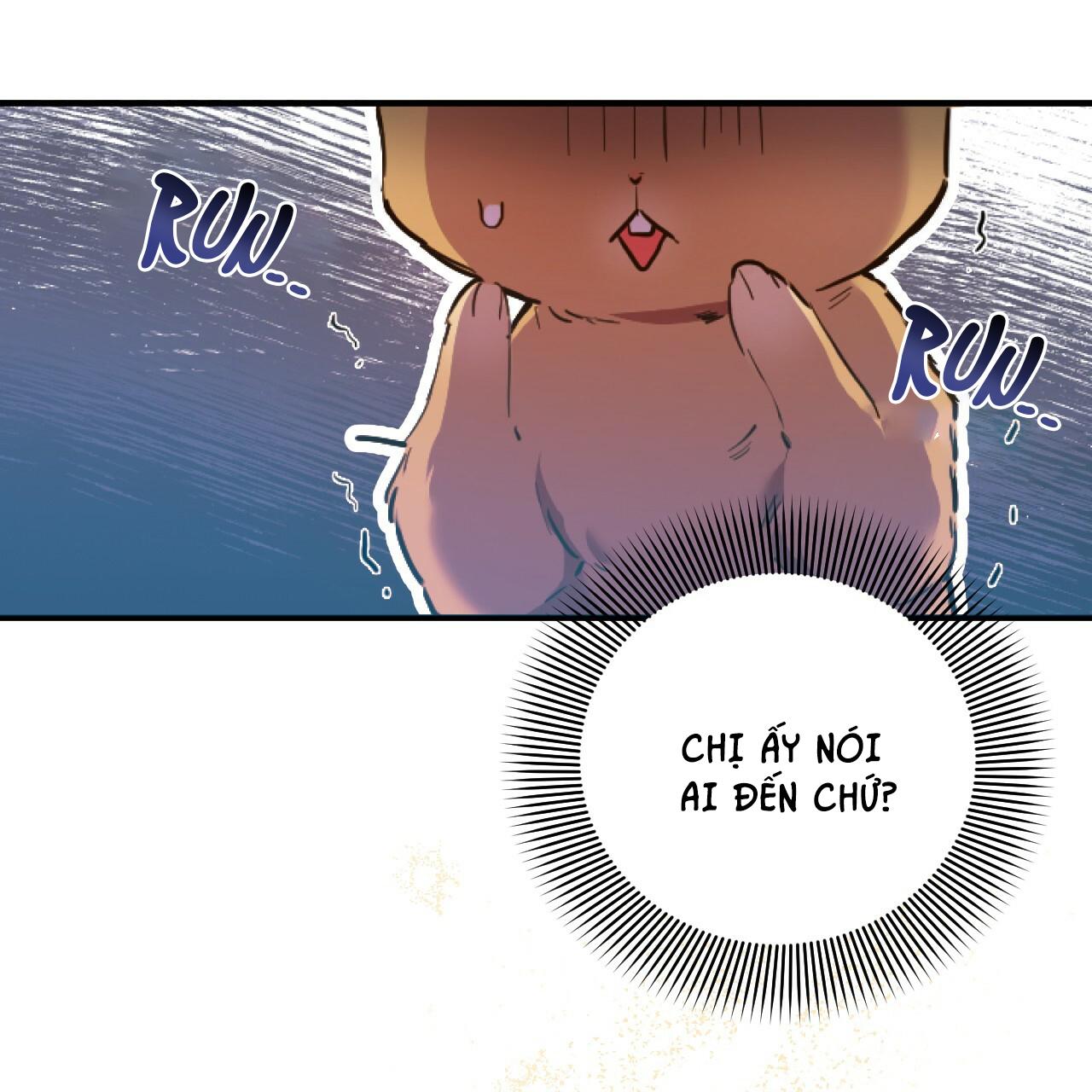 NHỮNG CHÚ THỎ CỦA HAPYPY Chapter 1 - Next Chapter 2