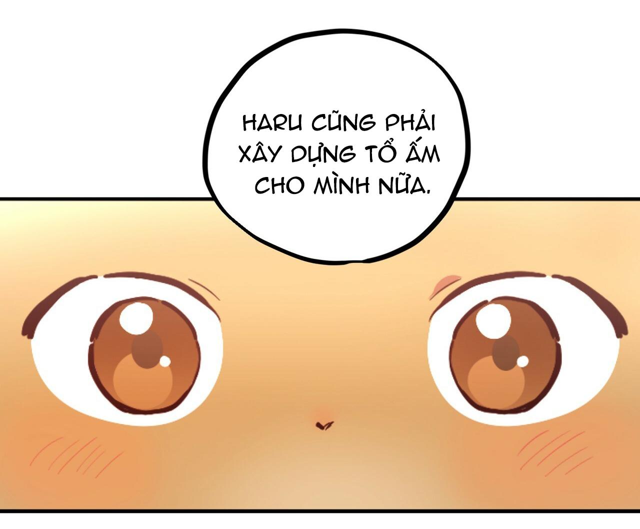 NHỮNG CHÚ THỎ CỦA HAPYPY Chapter 1 - Next Chapter 2