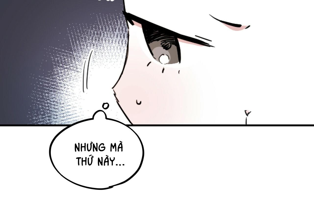 NHỮNG CHÚ THỎ CỦA HAPYPY Chapter 2 - Next Chapter 3