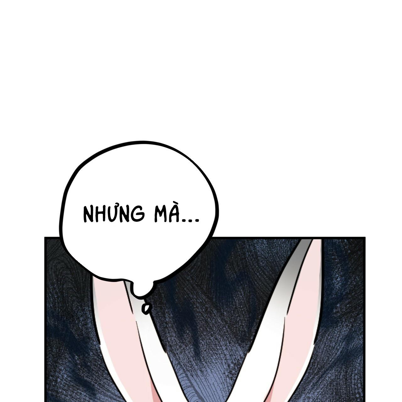 NHỮNG CHÚ THỎ CỦA HAPYPY Chapter 2 - Next Chapter 3