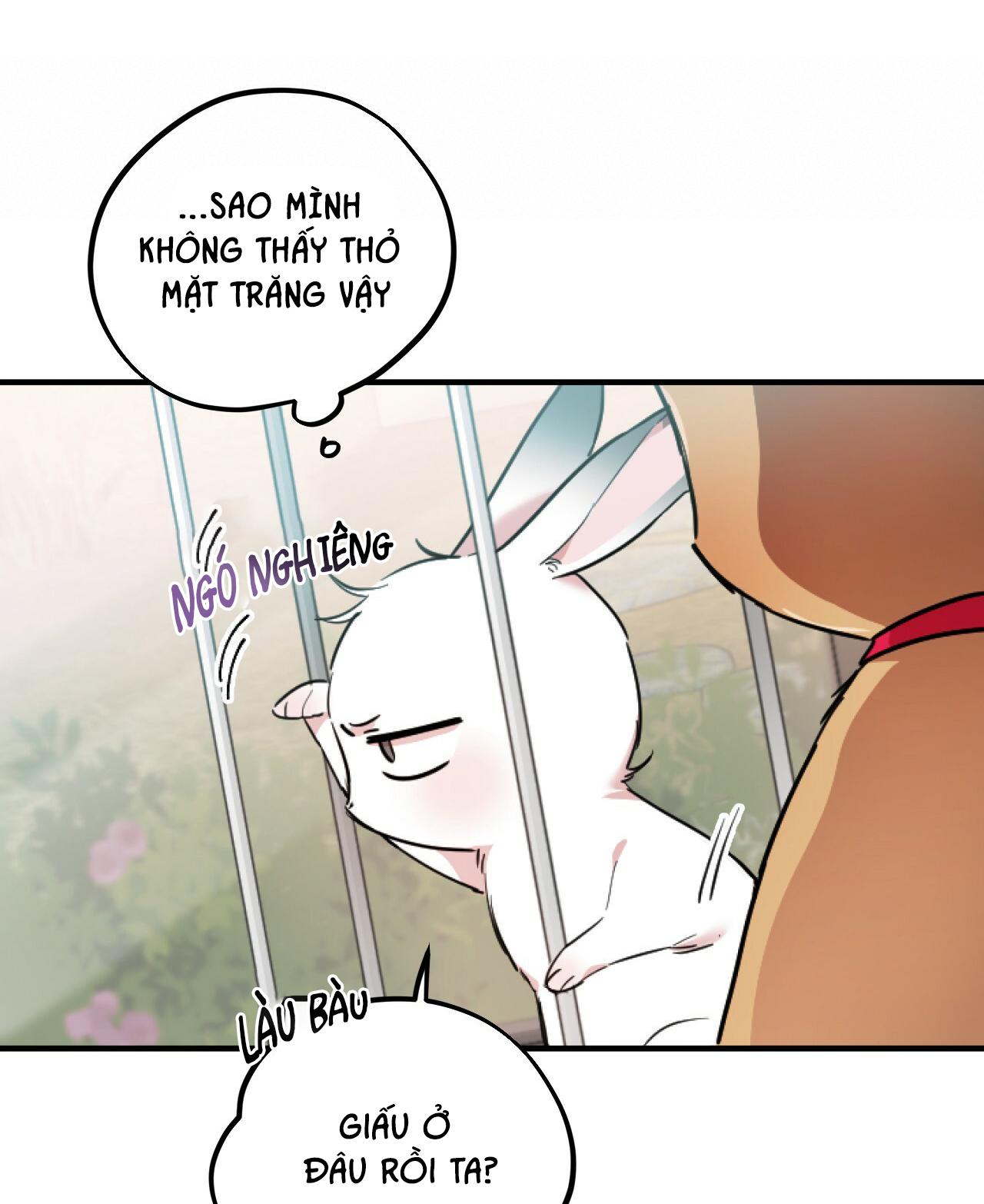 NHỮNG CHÚ THỎ CỦA HAPYPY Chapter 2 - Next Chapter 3