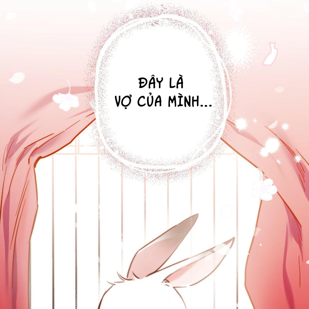 NHỮNG CHÚ THỎ CỦA HAPYPY Chapter 2 - Next Chapter 3