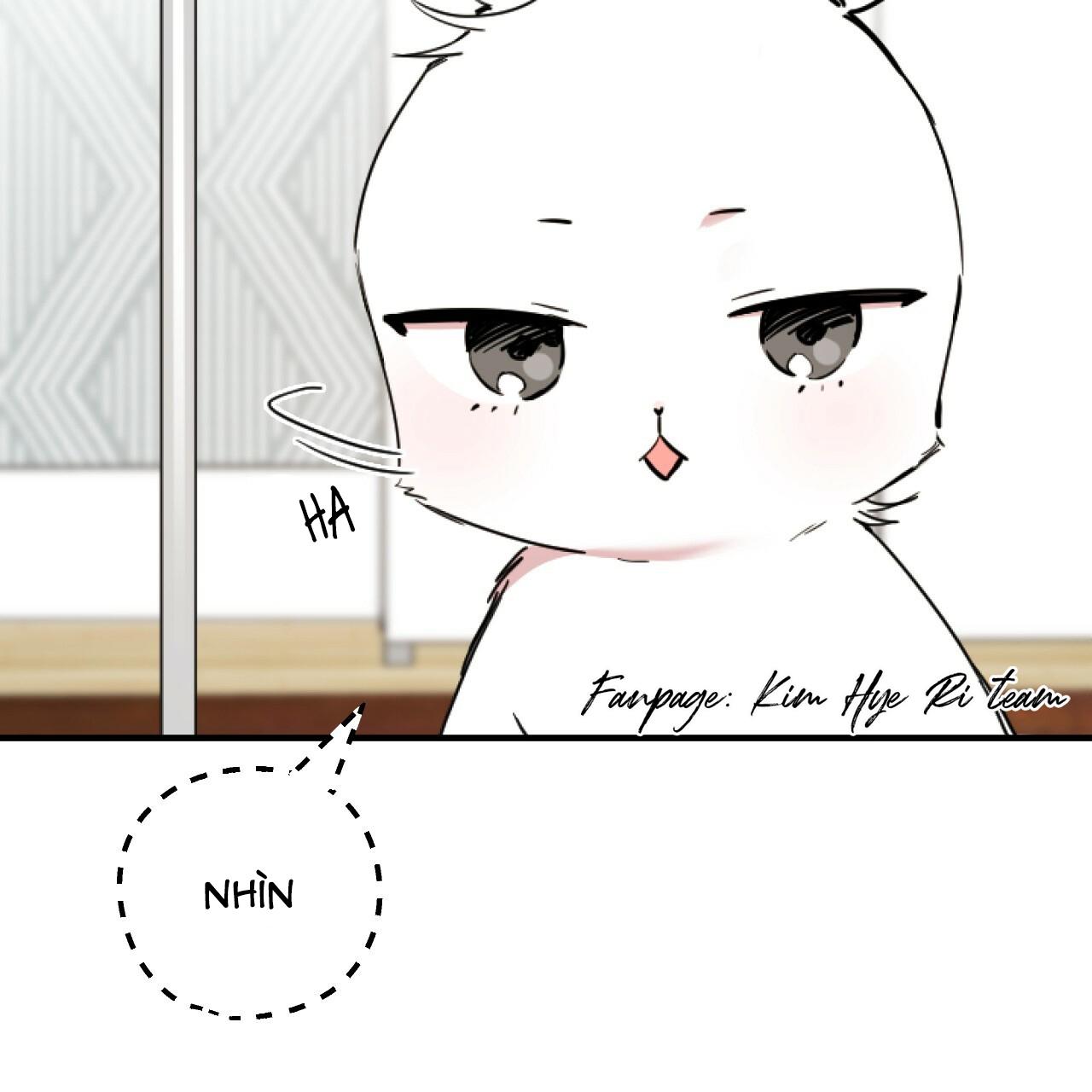 NHỮNG CHÚ THỎ CỦA HAPYPY Chapter 2 - Next Chapter 3