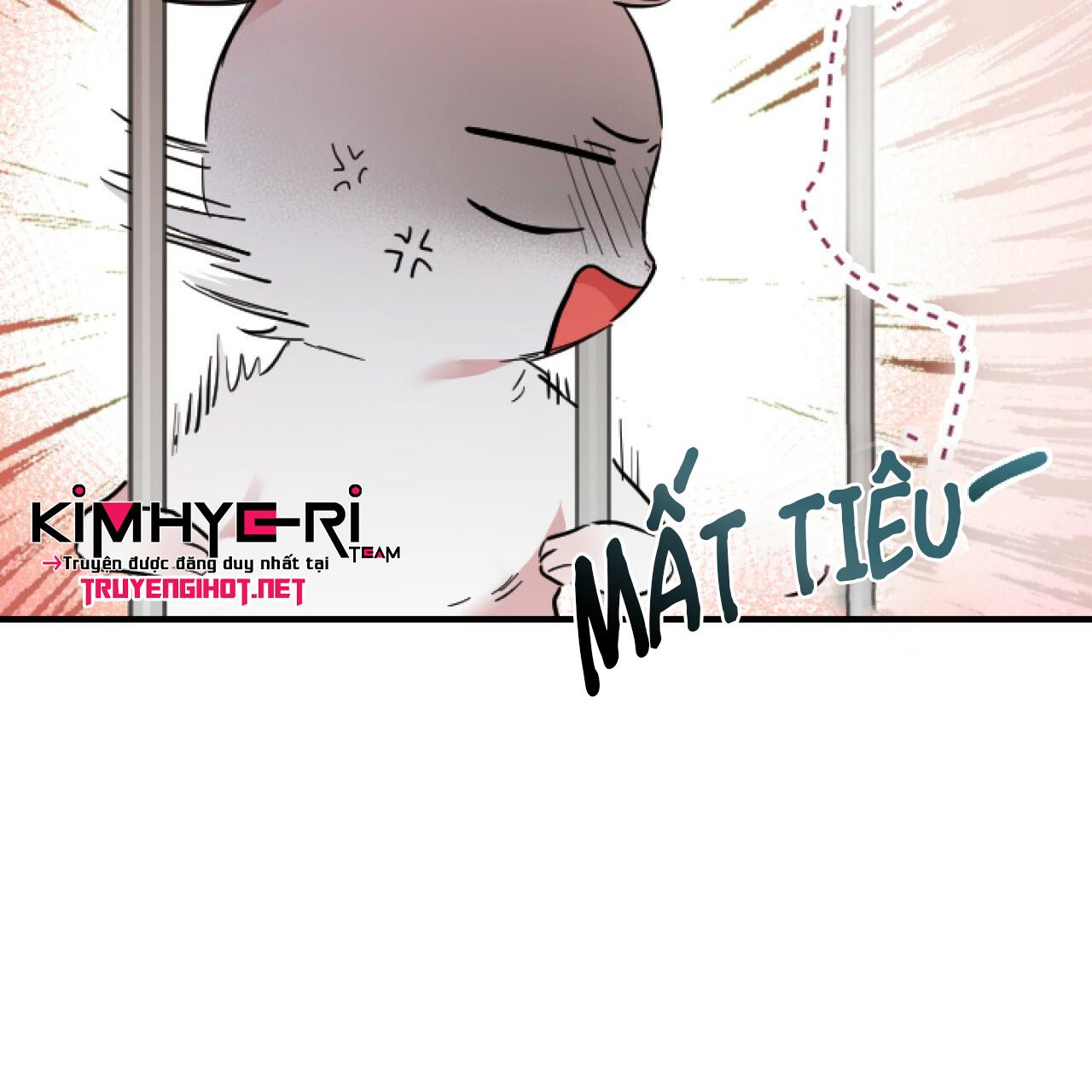 NHỮNG CHÚ THỎ CỦA HAPYPY Chapter 2 - Next Chapter 3