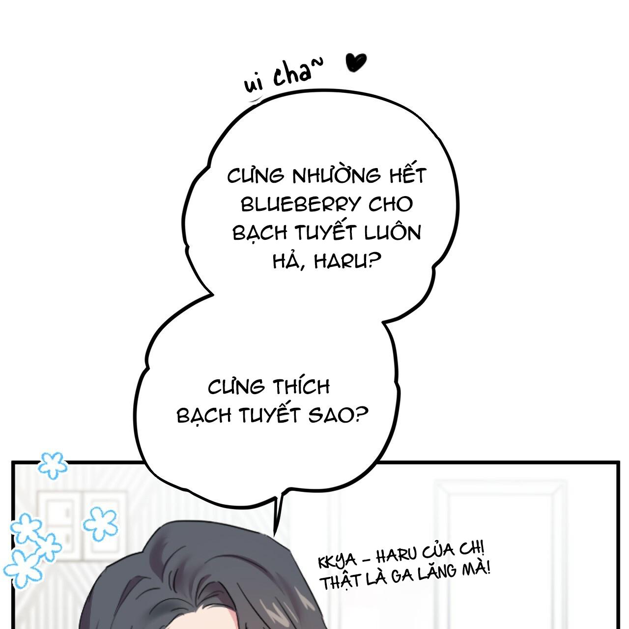 NHỮNG CHÚ THỎ CỦA HAPYPY Chapter 2 - Next Chapter 3