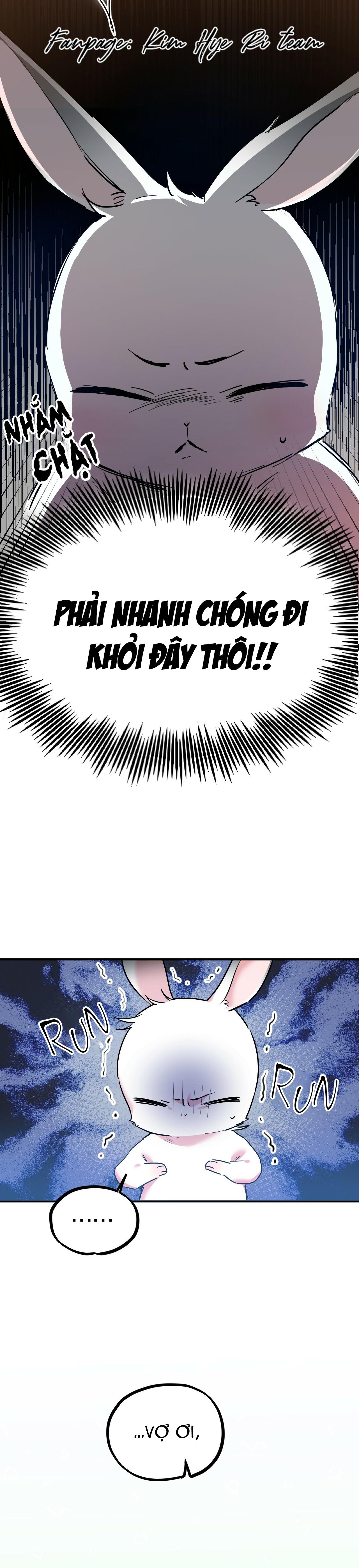 NHỮNG CHÚ THỎ CỦA HAPYPY Chapter 3 - Next Chapter 4