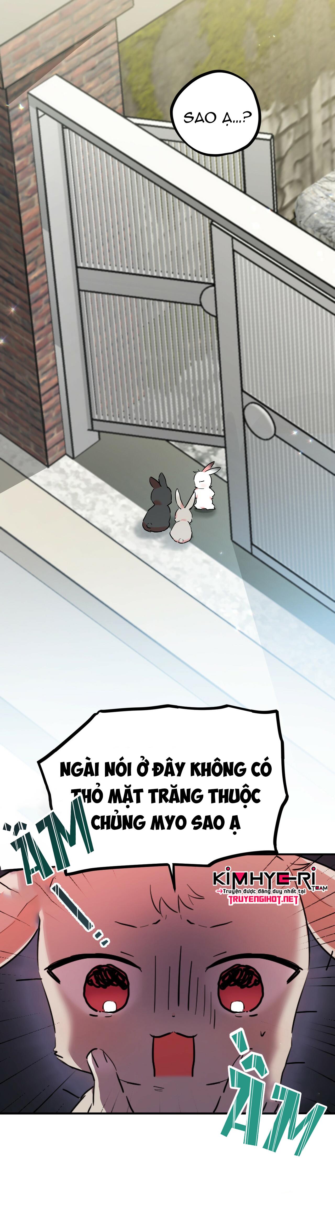 NHỮNG CHÚ THỎ CỦA HAPYPY Chapter 3 - Next Chapter 4