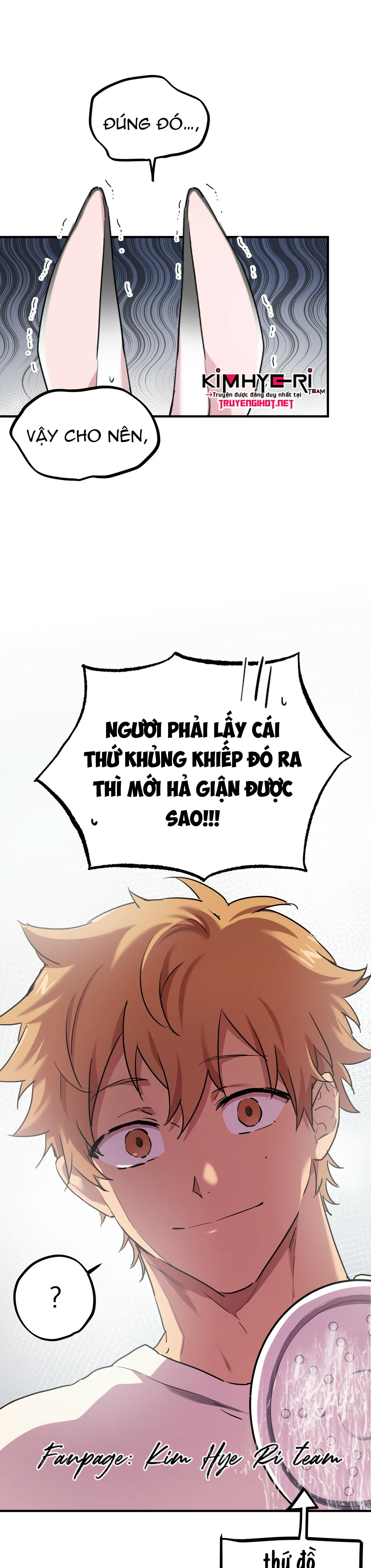 NHỮNG CHÚ THỎ CỦA HAPYPY Chapter 3 - Next Chapter 4