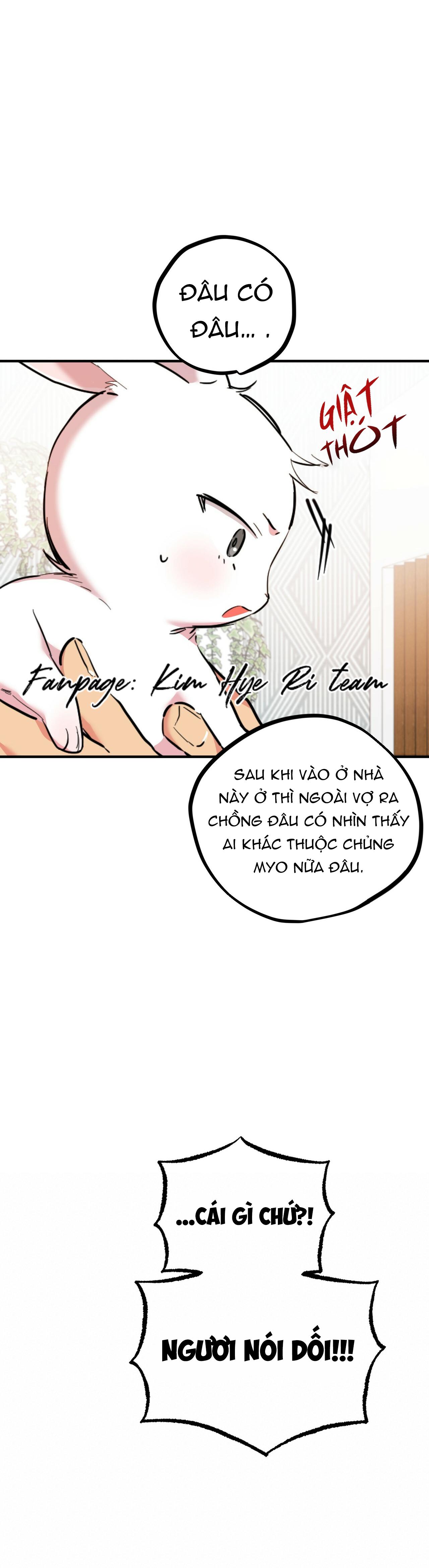 NHỮNG CHÚ THỎ CỦA HAPYPY Chapter 3 - Next Chapter 4