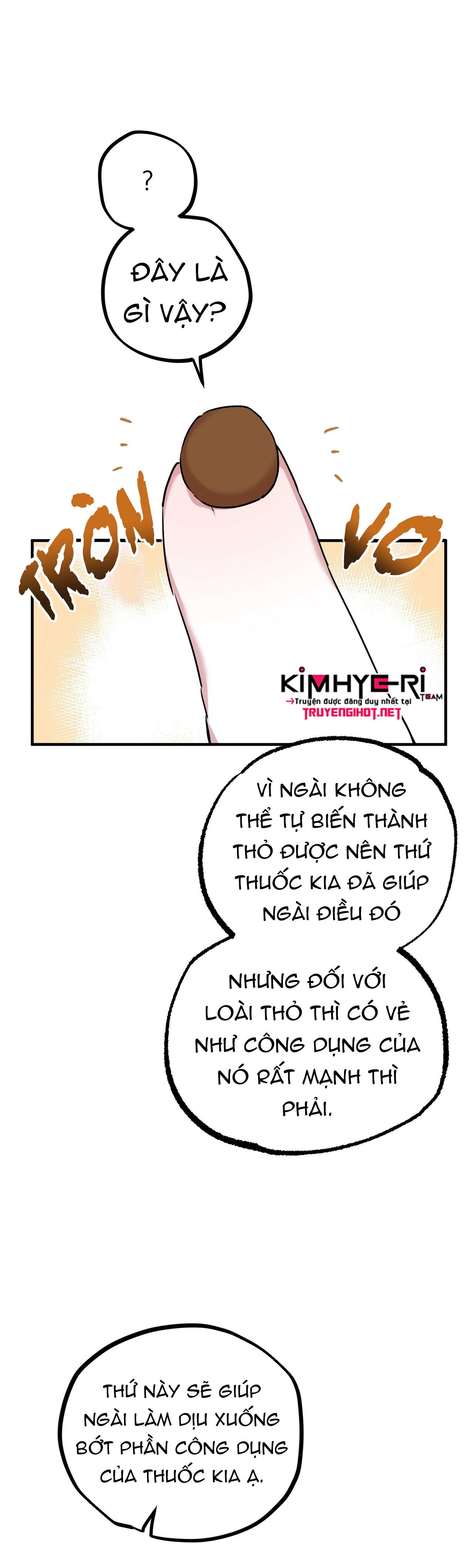 NHỮNG CHÚ THỎ CỦA HAPYPY Chapter 3 - Next Chapter 4