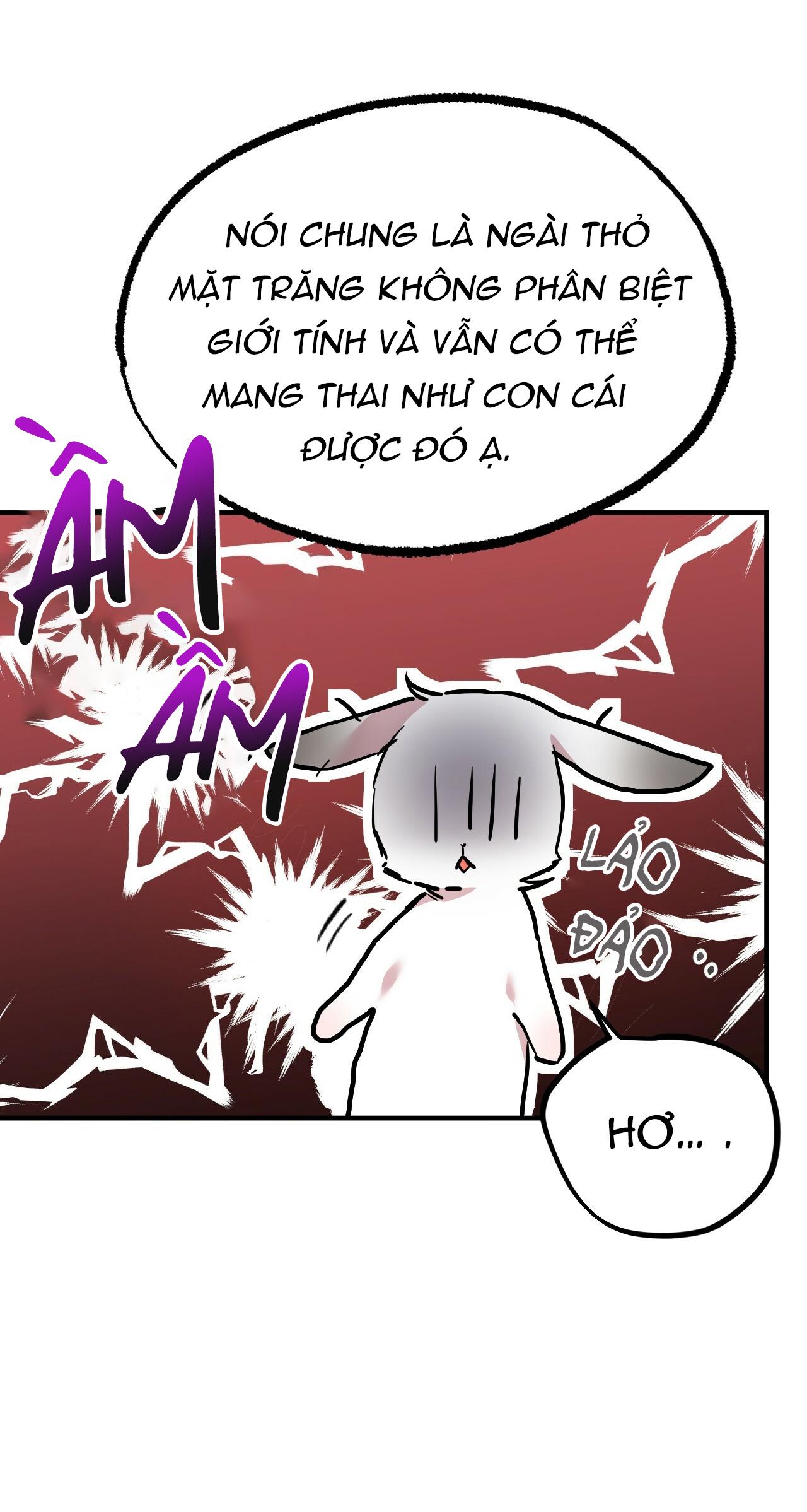 NHỮNG CHÚ THỎ CỦA HAPYPY Chapter 3 - Next Chapter 4