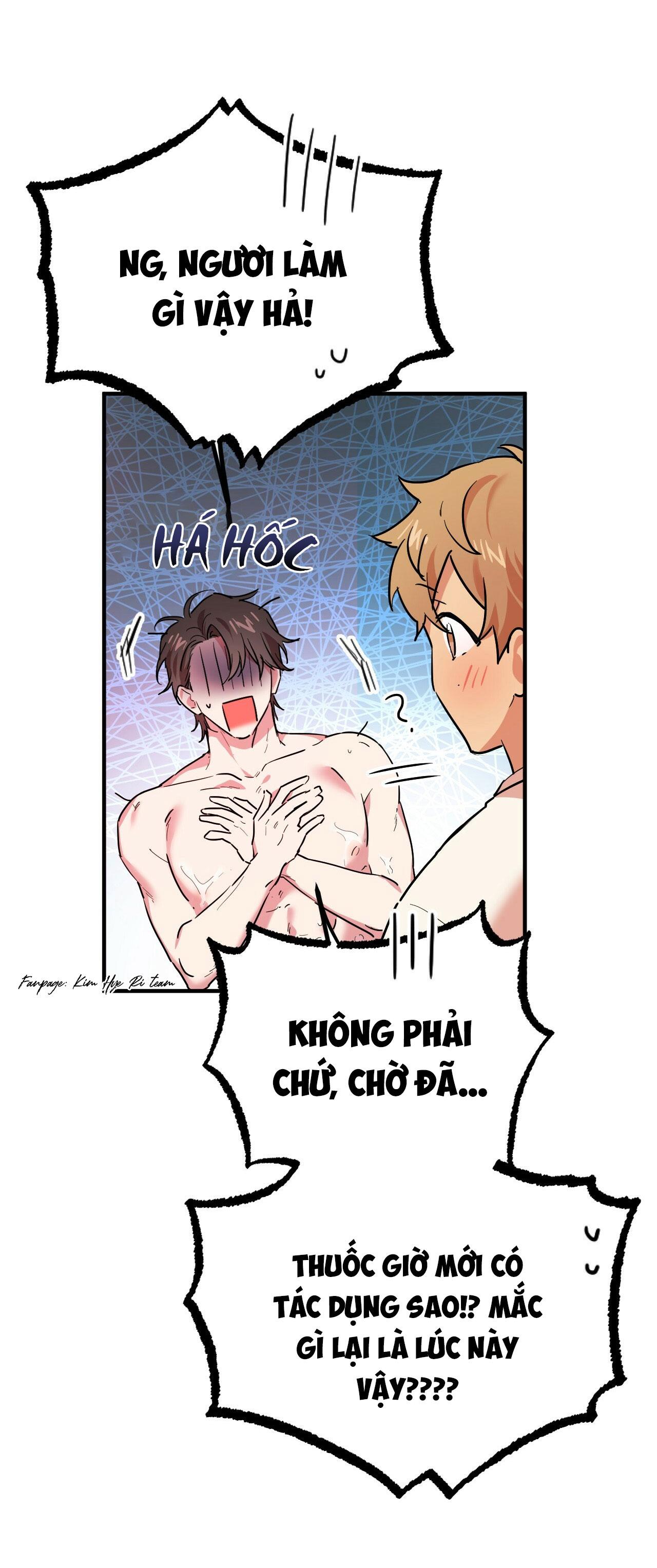 NHỮNG CHÚ THỎ CỦA HAPYPY Chapter 4 - Next Chapter 5