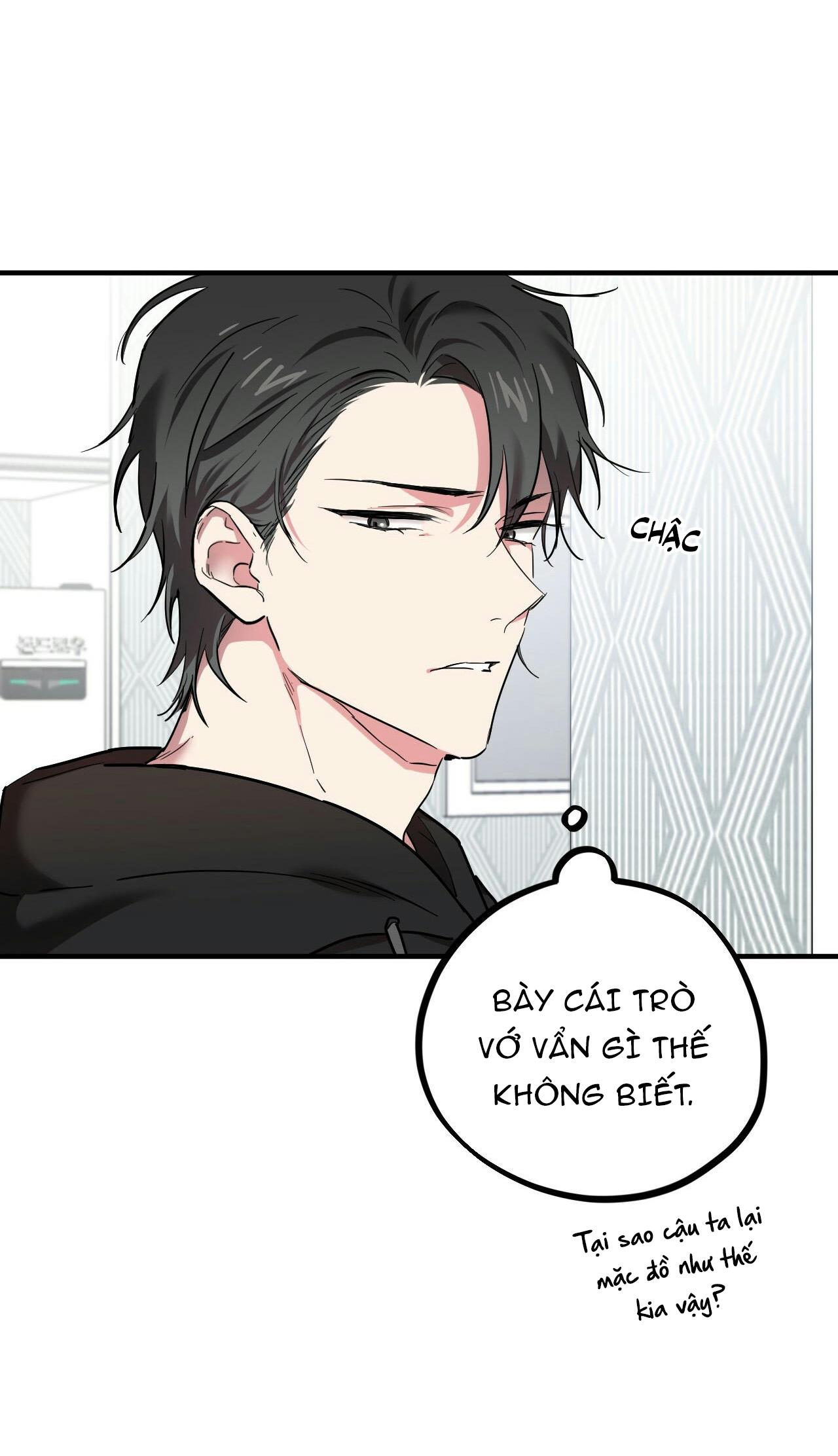 NHỮNG CHÚ THỎ CỦA HAPYPY Chapter 4 - Next Chapter 5