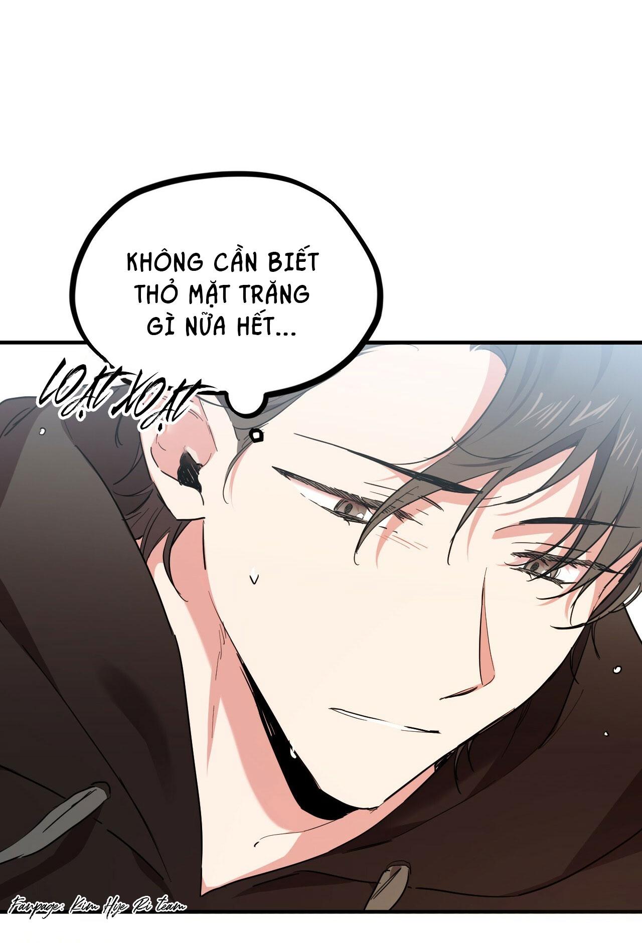 NHỮNG CHÚ THỎ CỦA HAPYPY Chapter 5 - Next Chapter 6