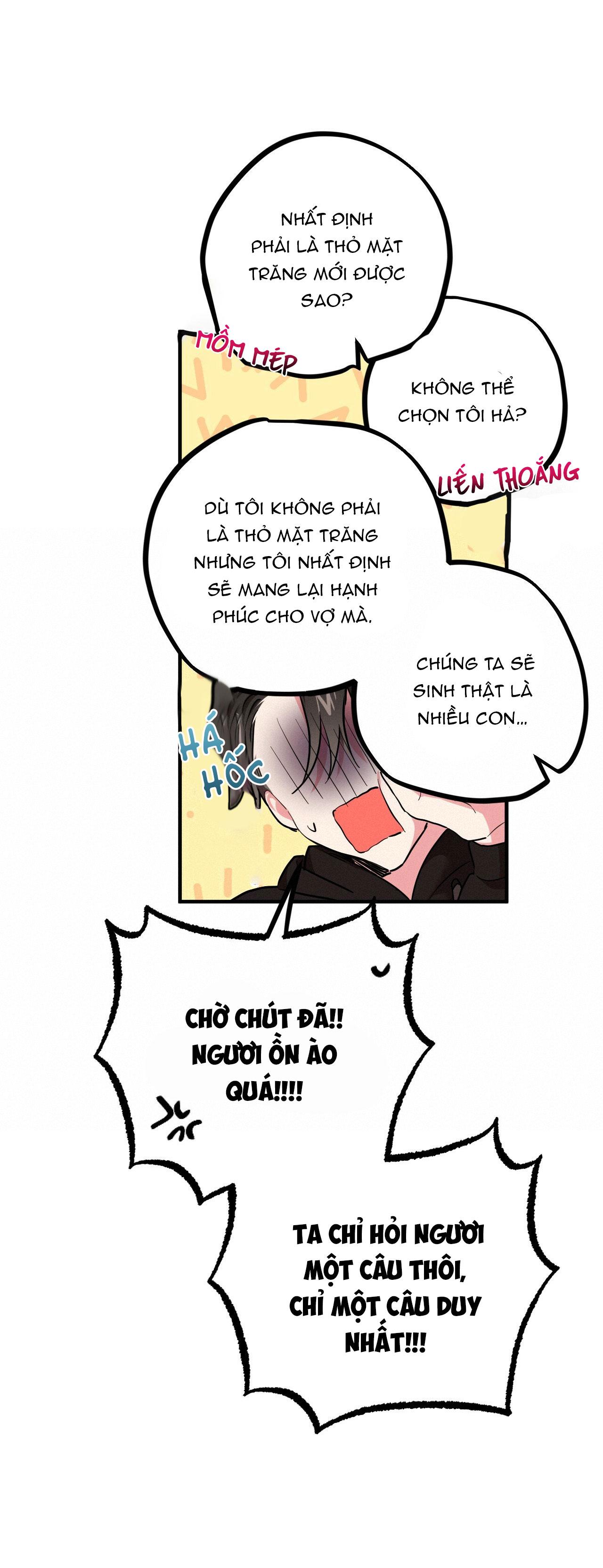 NHỮNG CHÚ THỎ CỦA HAPYPY Chapter 5 - Next Chapter 6