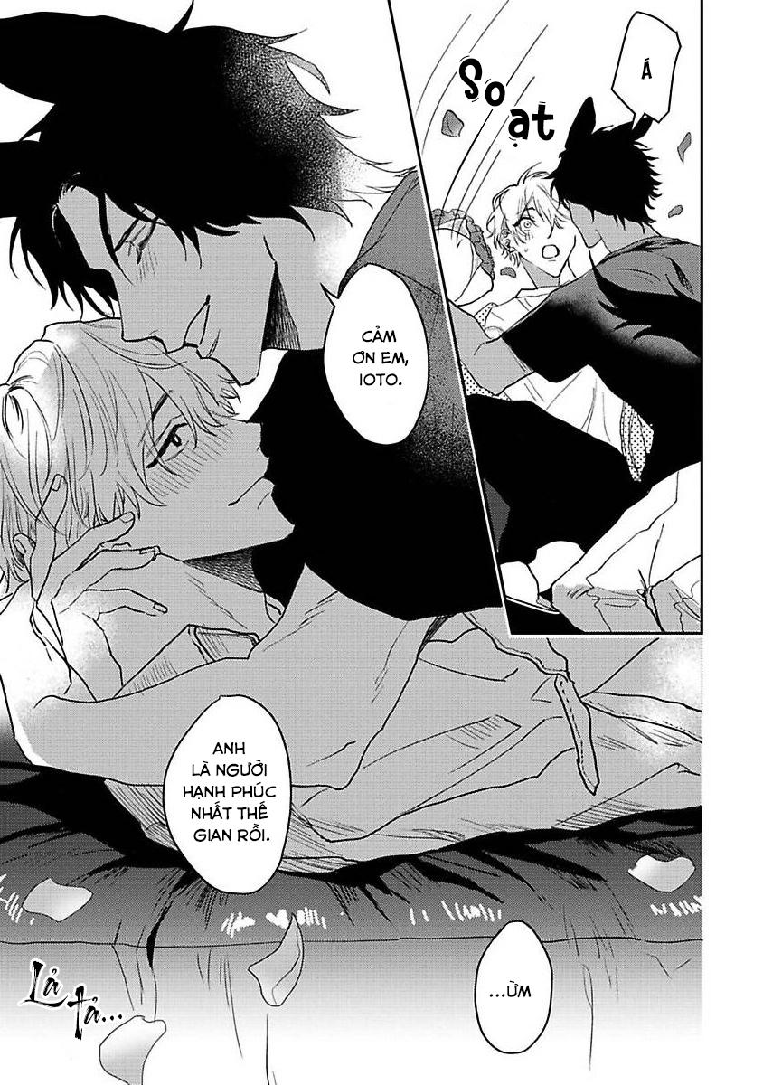 Chú Cá Ngừ Bonito Của Chàng Sói Chapter 4 - Next Chapter 5