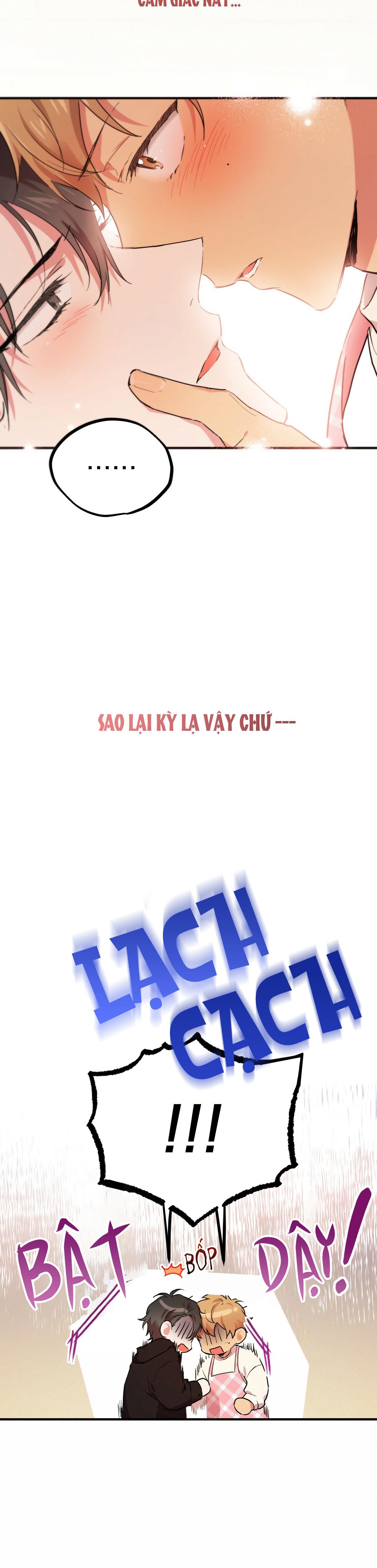 NHỮNG CHÚ THỎ CỦA HAPYPY Chapter 6 - Next Chapter 7