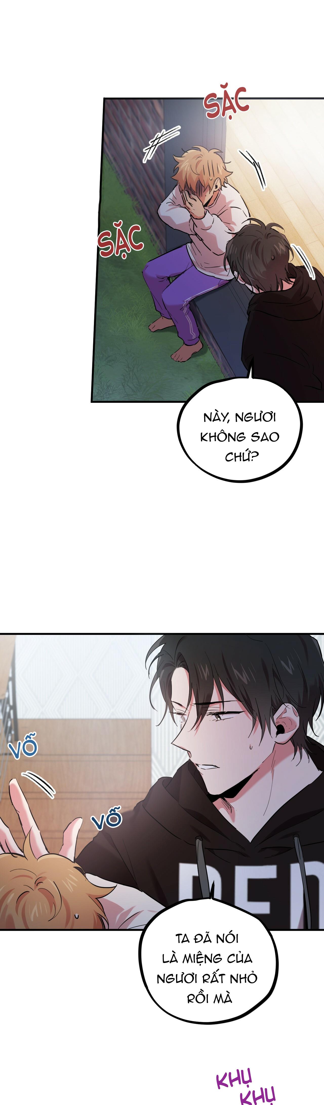 NHỮNG CHÚ THỎ CỦA HAPYPY Chapter 7 - Next Chapter 8