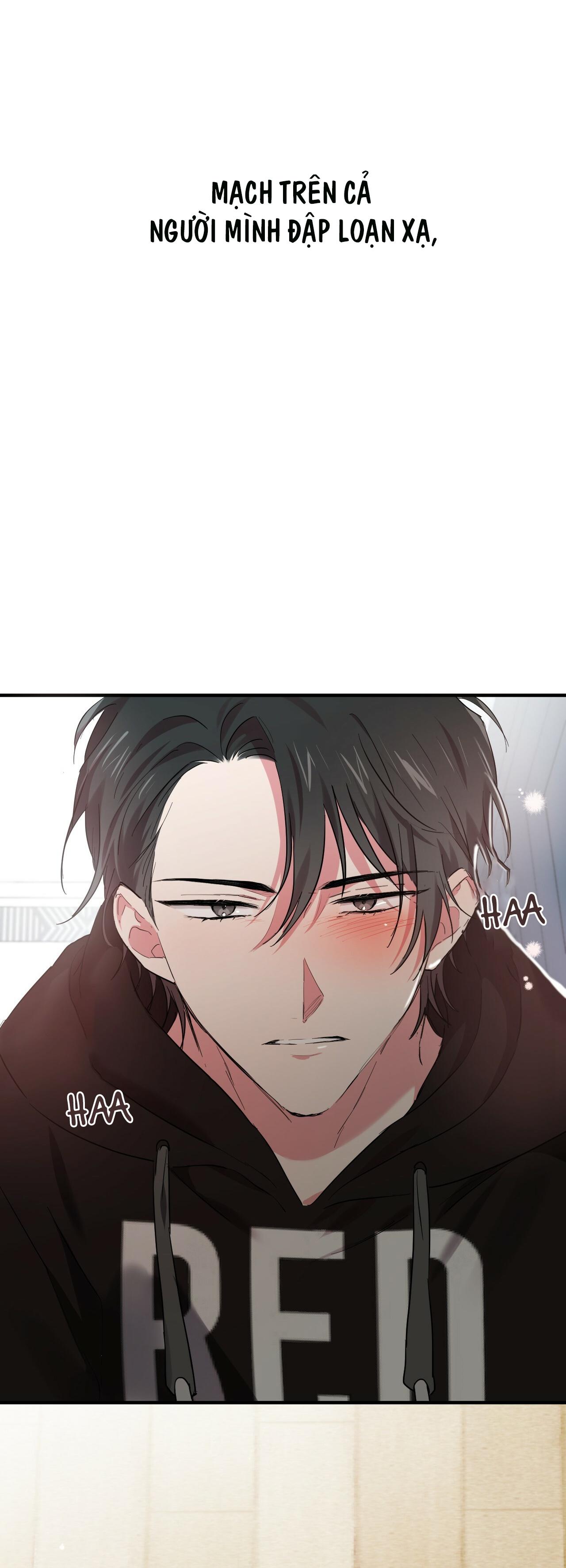 NHỮNG CHÚ THỎ CỦA HAPYPY Chapter 7 - Next Chapter 8