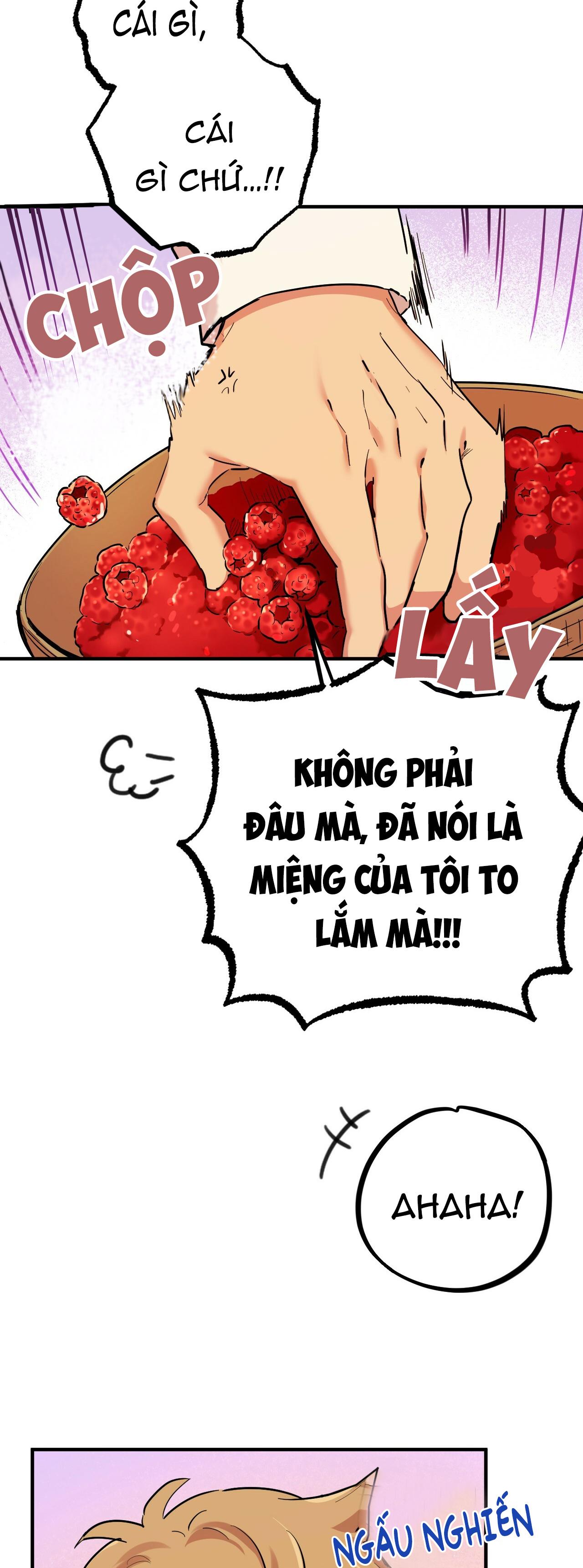 NHỮNG CHÚ THỎ CỦA HAPYPY Chapter 7 - Next Chapter 8