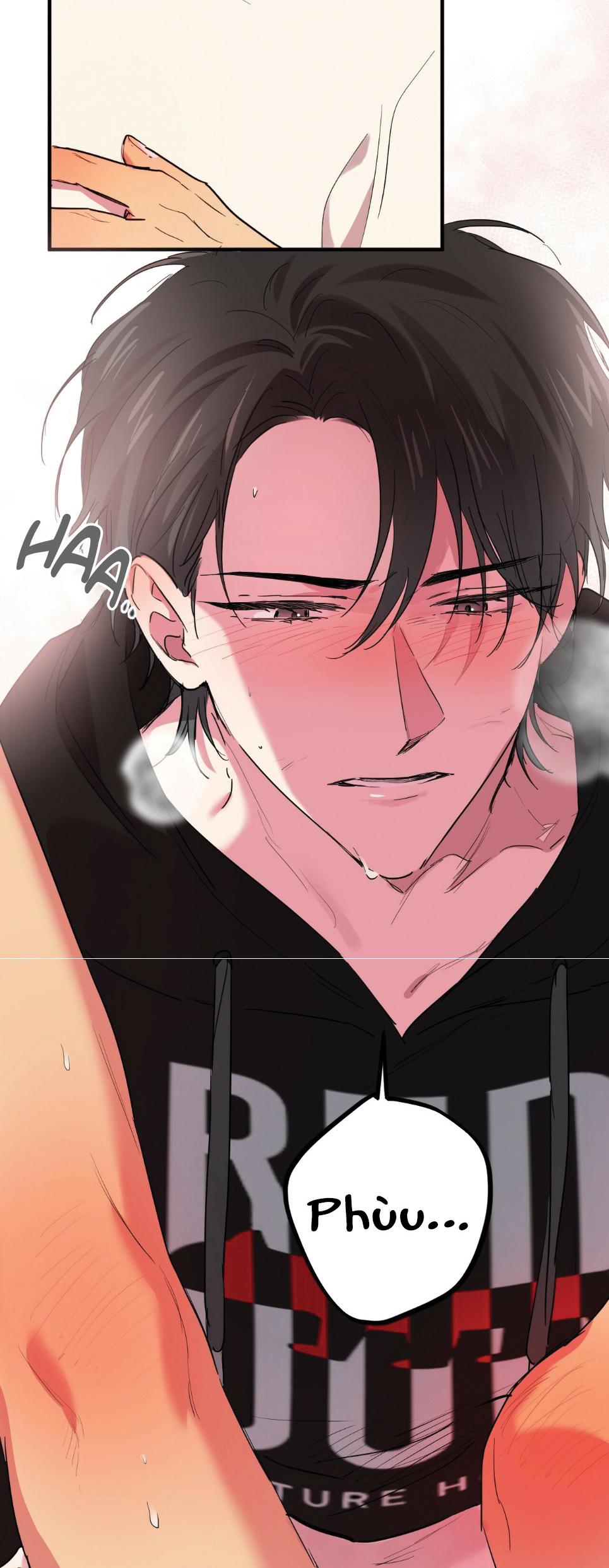 NHỮNG CHÚ THỎ CỦA HAPYPY Chapter 9 - Next Chapter 10