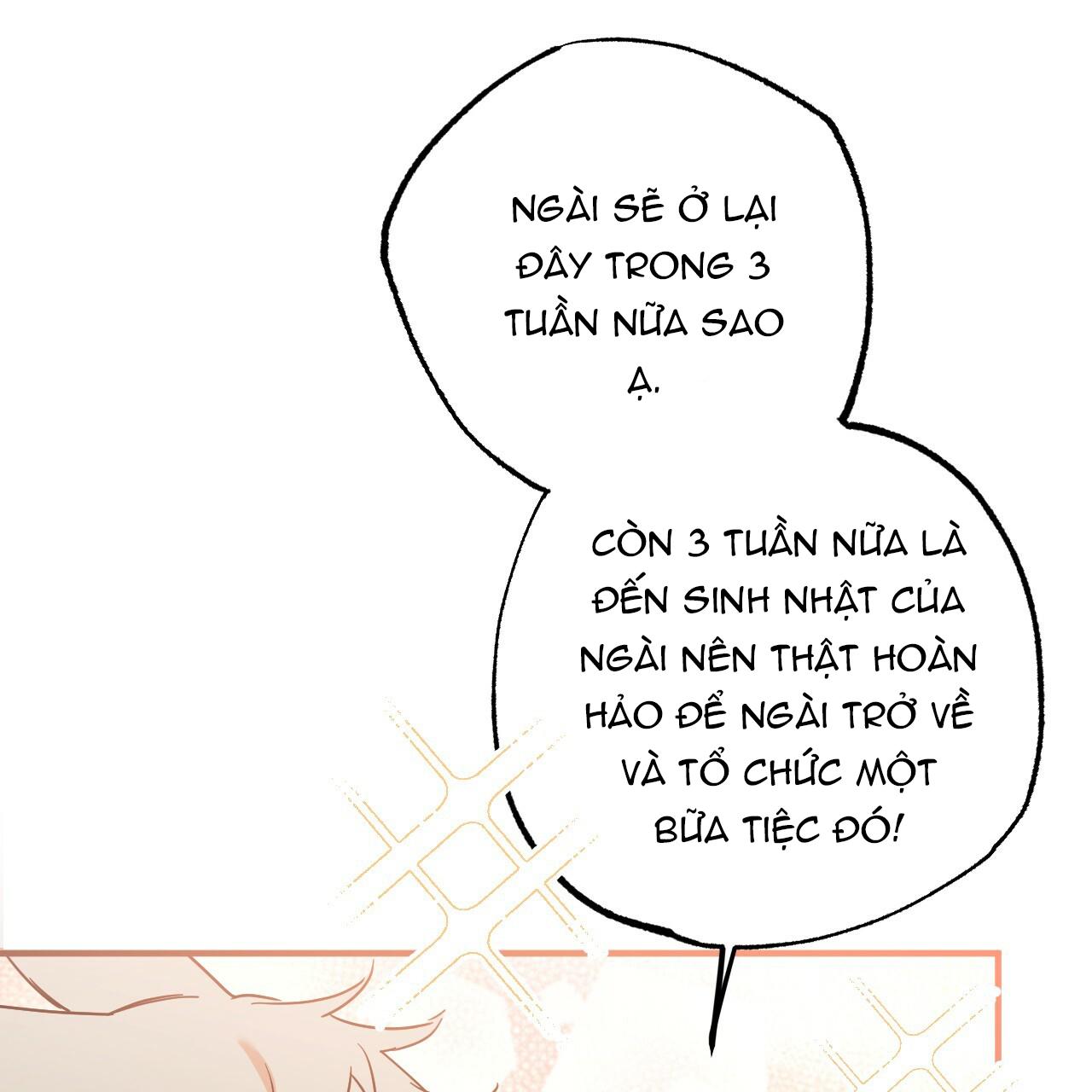 NHỮNG CHÚ THỎ CỦA HAPYPY Chapter 10 - Next Chapter 11