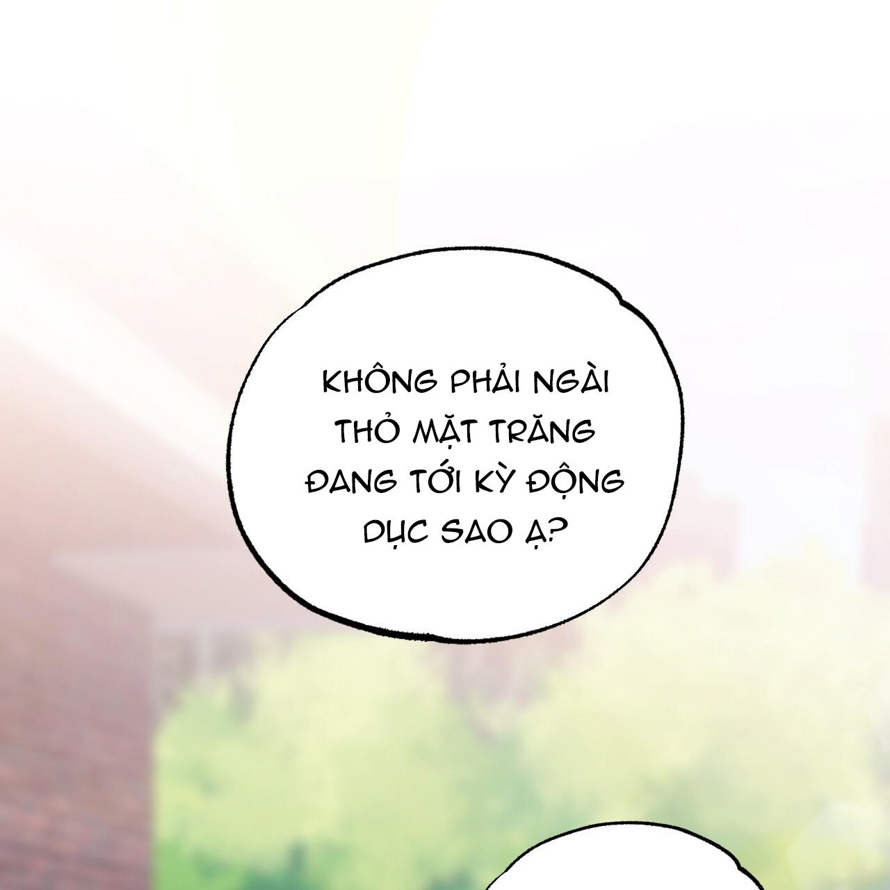 NHỮNG CHÚ THỎ CỦA HAPYPY Chapter 10 - Next Chapter 11