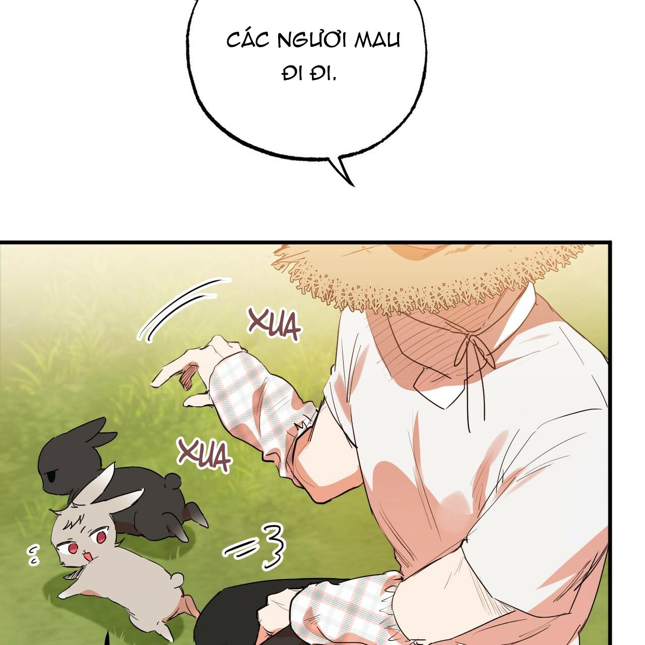 NHỮNG CHÚ THỎ CỦA HAPYPY Chapter 10 - Next Chapter 11