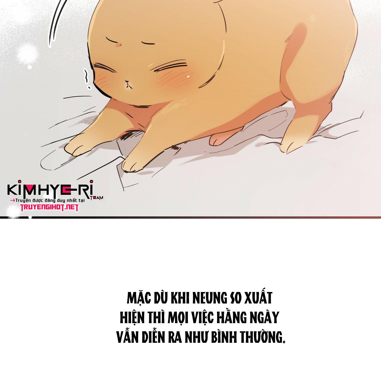 NHỮNG CHÚ THỎ CỦA HAPYPY Chapter 11 - Next Chapter 12