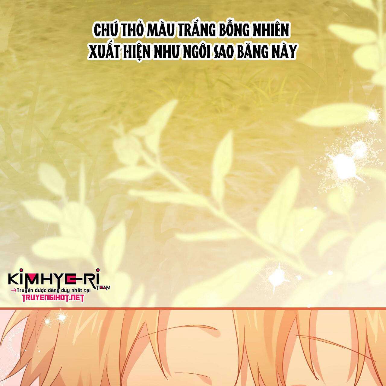 NHỮNG CHÚ THỎ CỦA HAPYPY Chapter 11 - Next Chapter 12