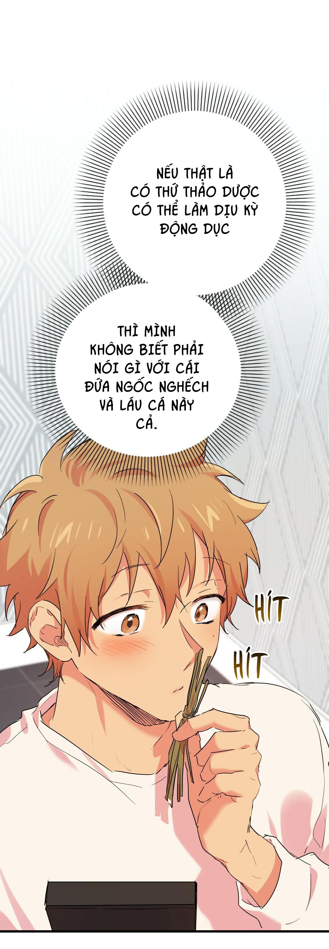 NHỮNG CHÚ THỎ CỦA HAPYPY Chapter 12 - Next Chapter 13