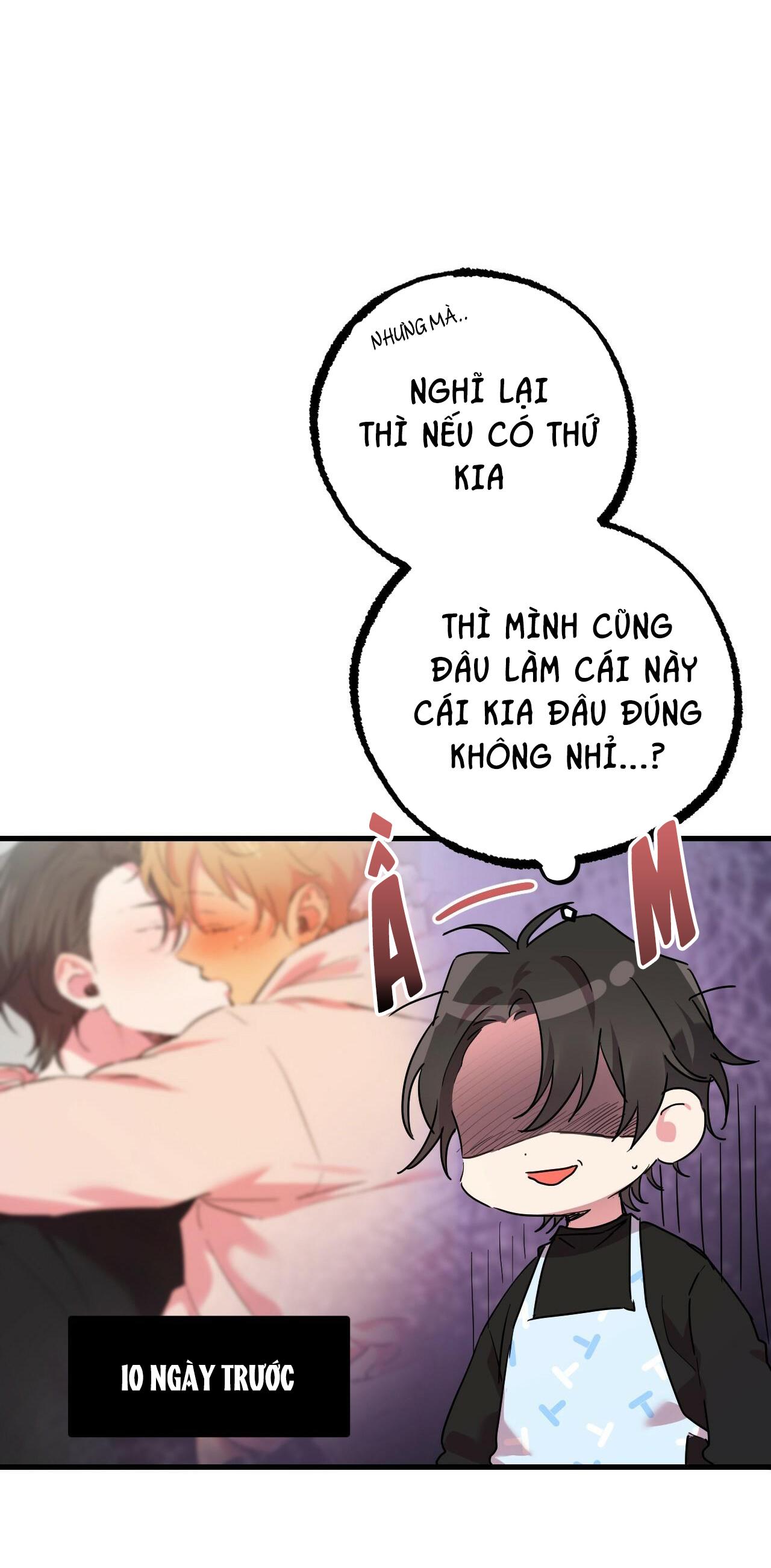 NHỮNG CHÚ THỎ CỦA HAPYPY Chapter 12 - Next Chapter 13