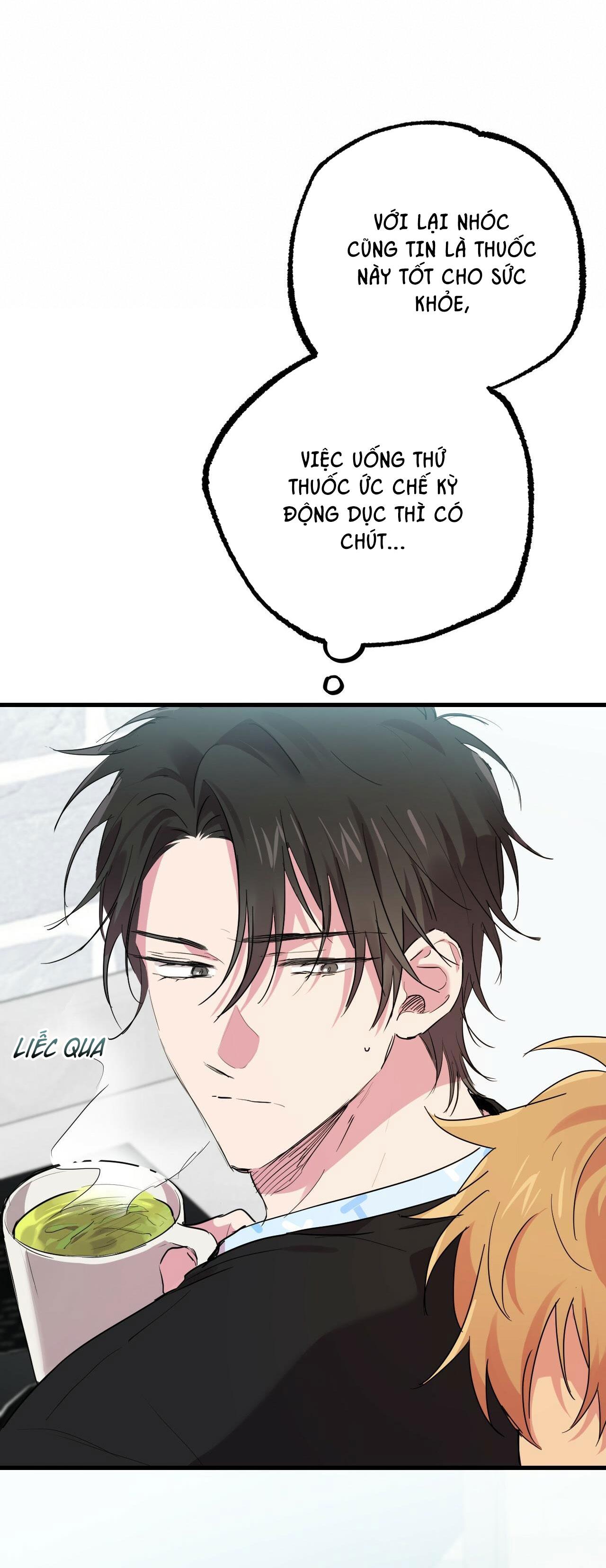 NHỮNG CHÚ THỎ CỦA HAPYPY Chapter 12 - Next Chapter 13