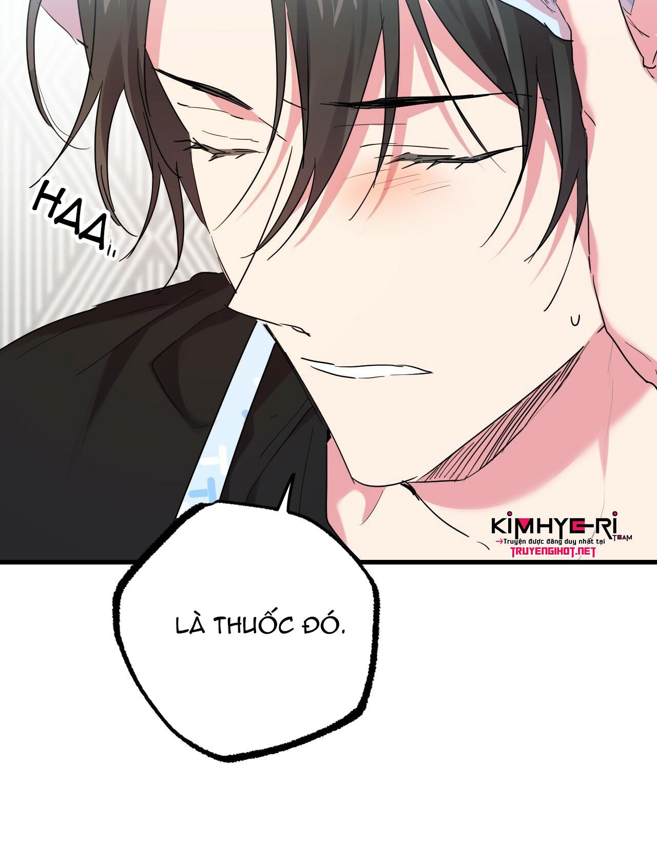 NHỮNG CHÚ THỎ CỦA HAPYPY Chapter 12 - Next Chapter 13