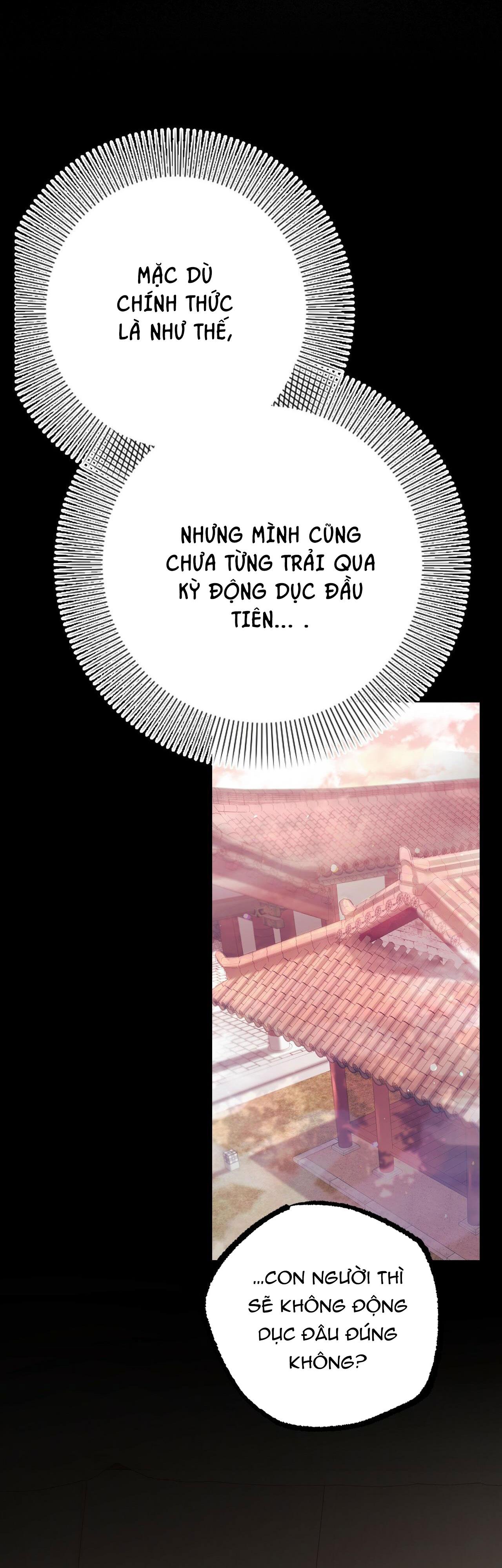 NHỮNG CHÚ THỎ CỦA HAPYPY Chapter 12 - Next Chapter 13