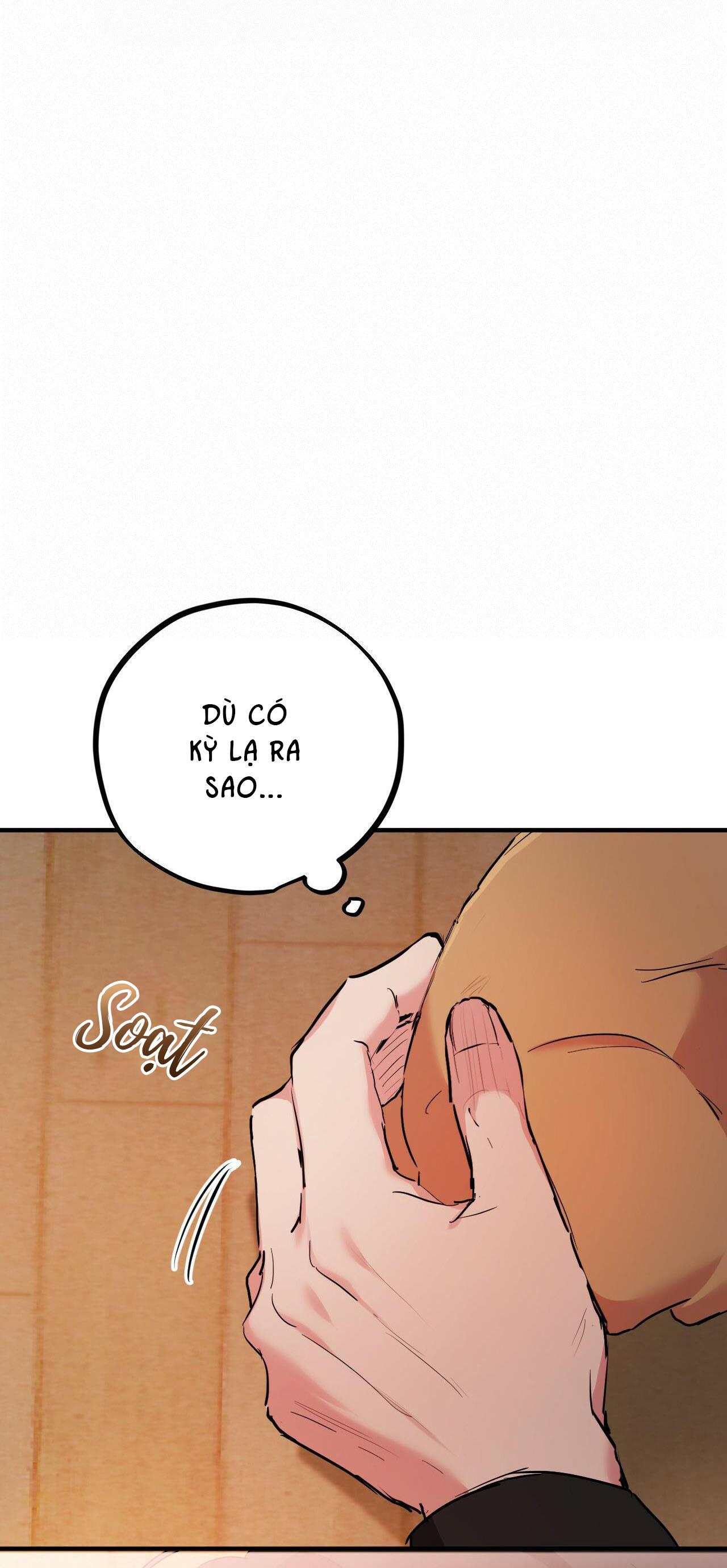 NHỮNG CHÚ THỎ CỦA HAPYPY Chapter 13 - Next Chapter 14