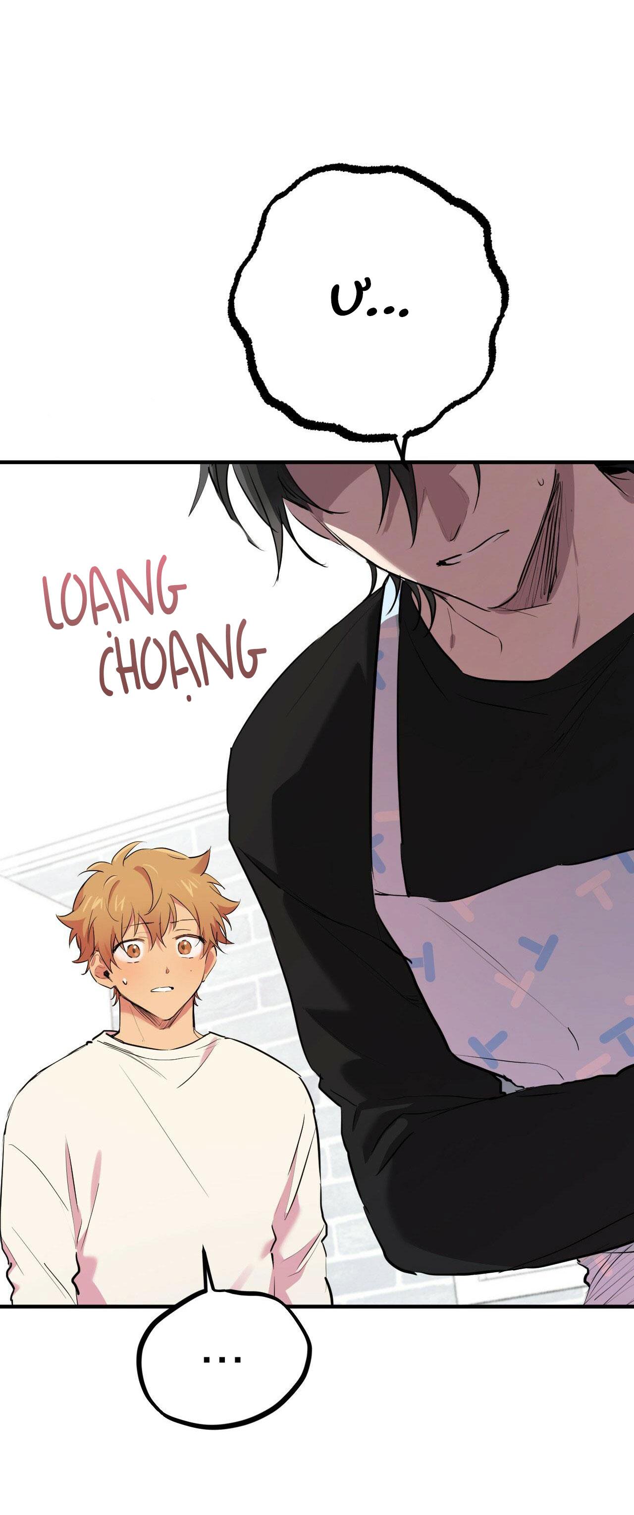 NHỮNG CHÚ THỎ CỦA HAPYPY Chapter 13 - Next Chapter 14