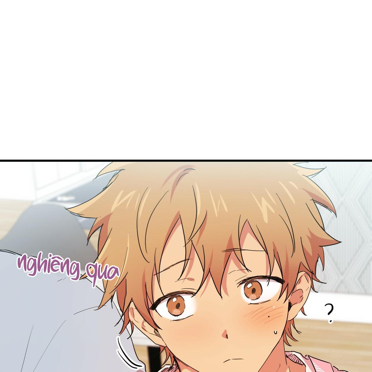 NHỮNG CHÚ THỎ CỦA HAPYPY Chapter 15 - Next Chapter 16