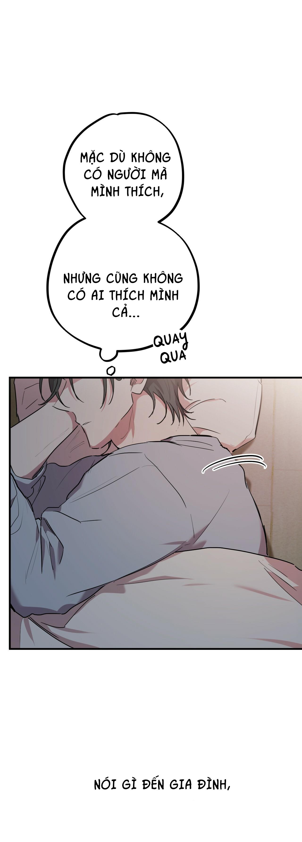 NHỮNG CHÚ THỎ CỦA HAPYPY Chapter 16 - Next Chapter 17