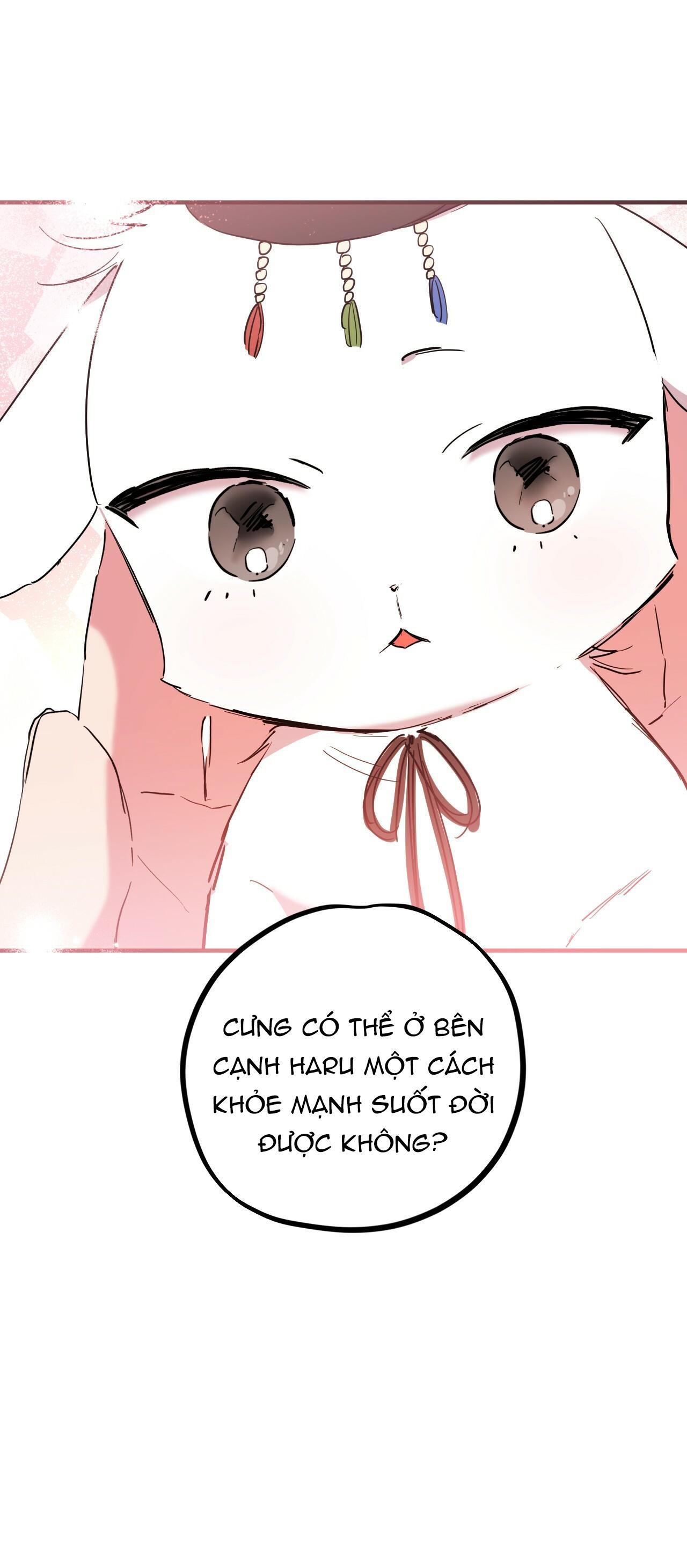 NHỮNG CHÚ THỎ CỦA HAPYPY Chapter 16 - Next Chapter 17