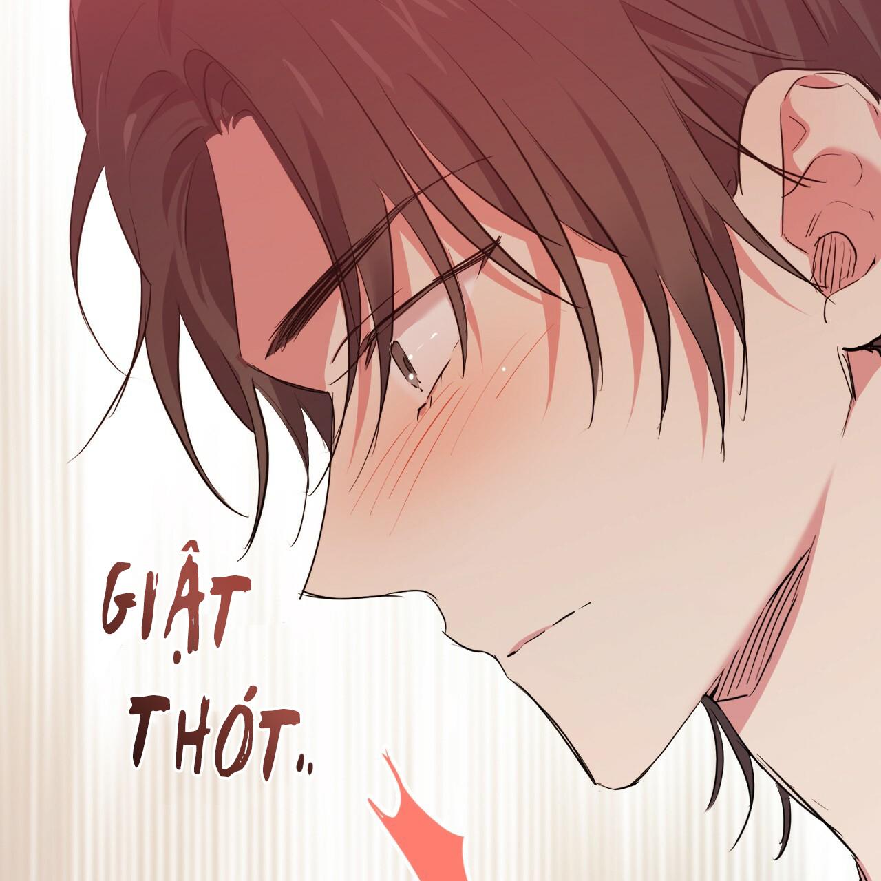 NHỮNG CHÚ THỎ CỦA HAPYPY Chapter 17 - Next Chapter 18